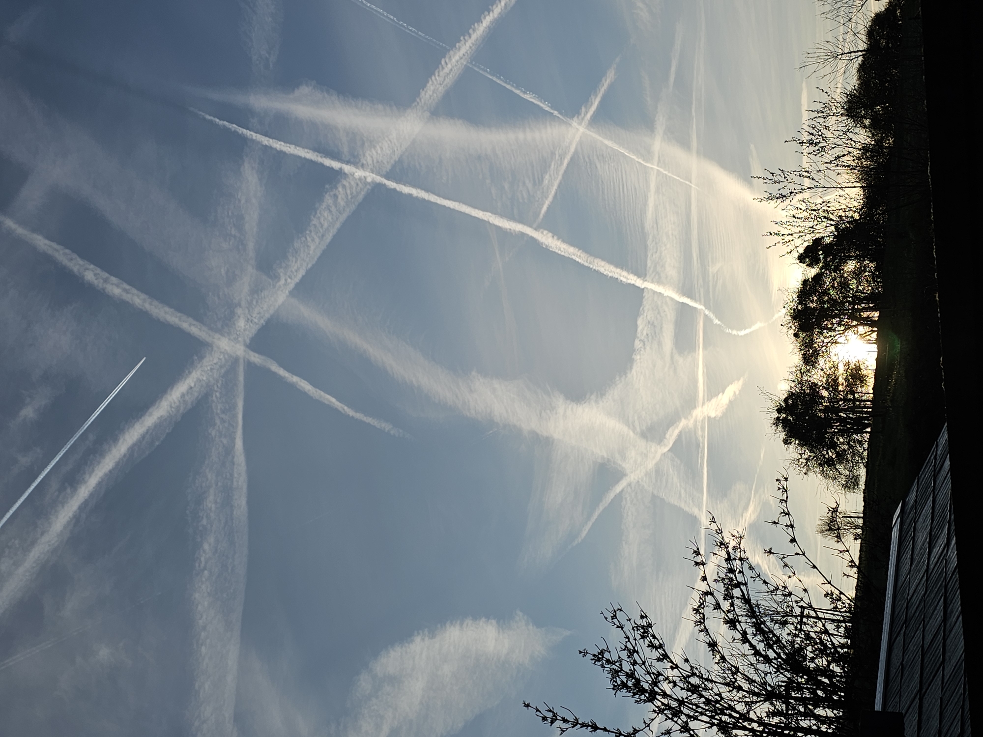 Dense contrail network observed over Junglinster, Luxembourg morning sky