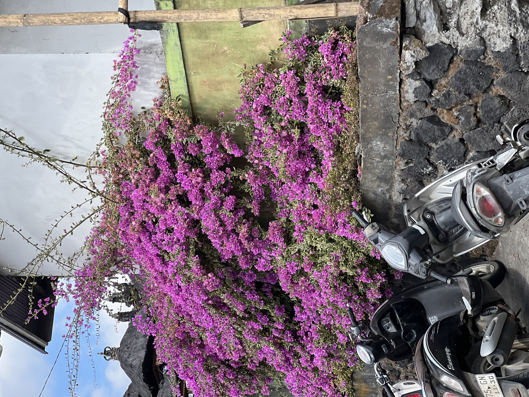 Roadside scenes from Kintamani's highland streets