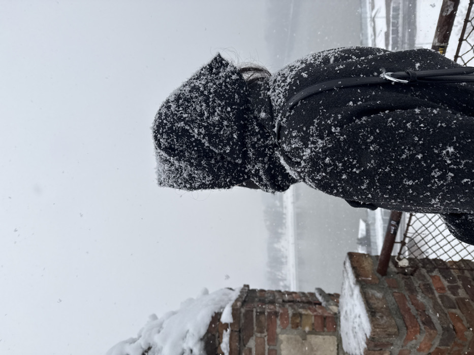 Winter visitors enjoy snowfall at Belgrade's Kalemegdan Fortress