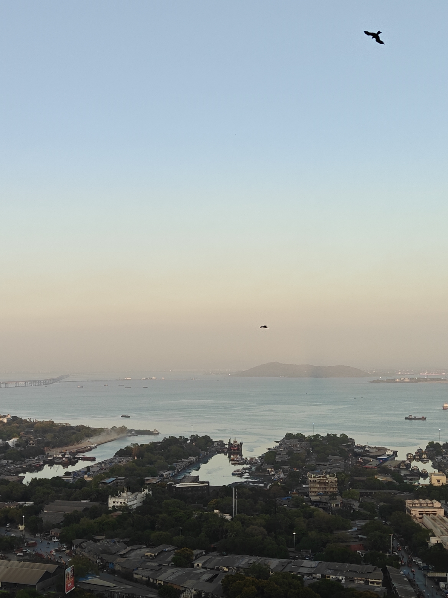 Aerial view captures Mumbai's coastal cityscape under hazy afternoon sky