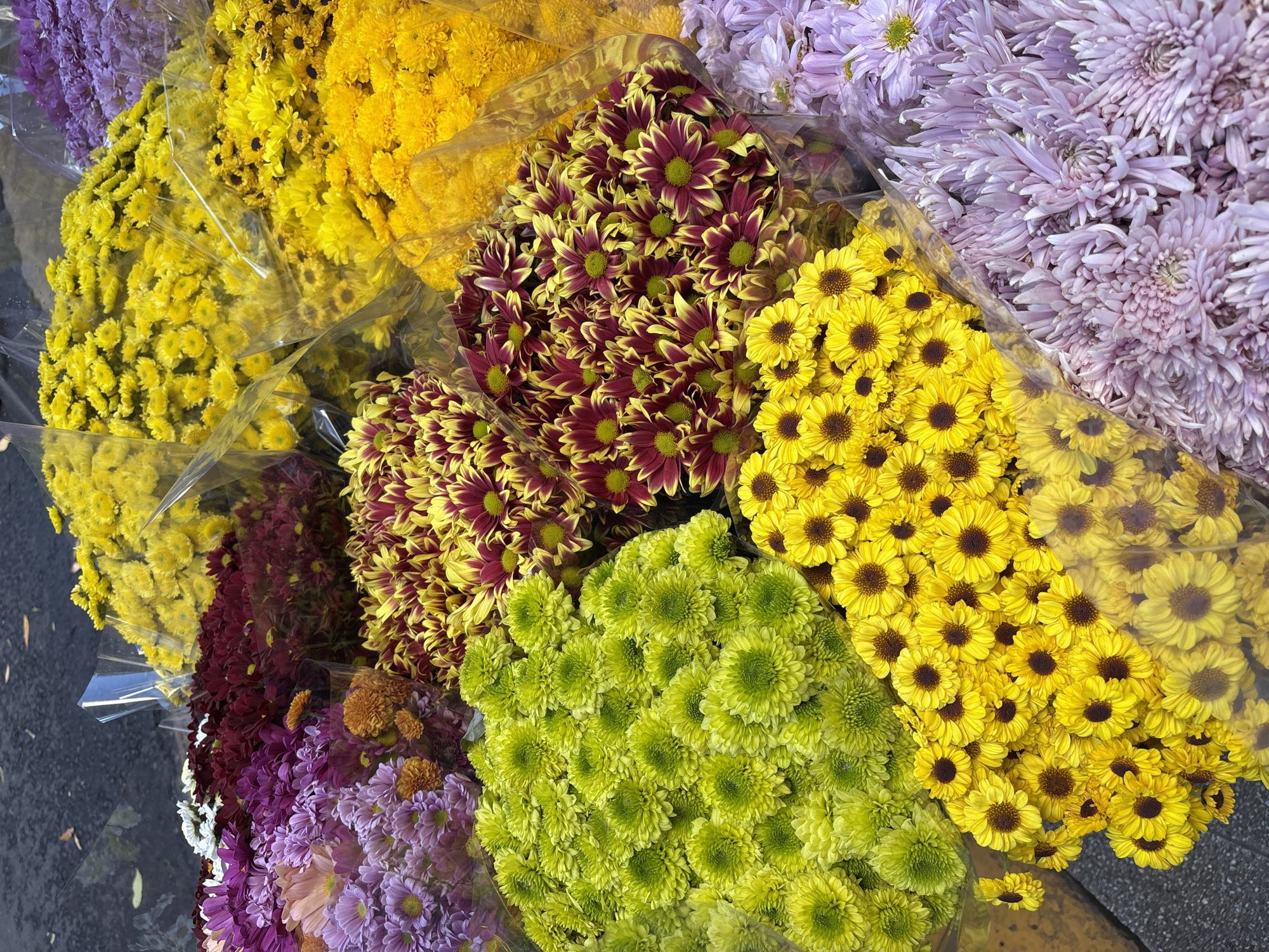 Afternoon stroll documents Buenos Aires flower markets, monuments, street life