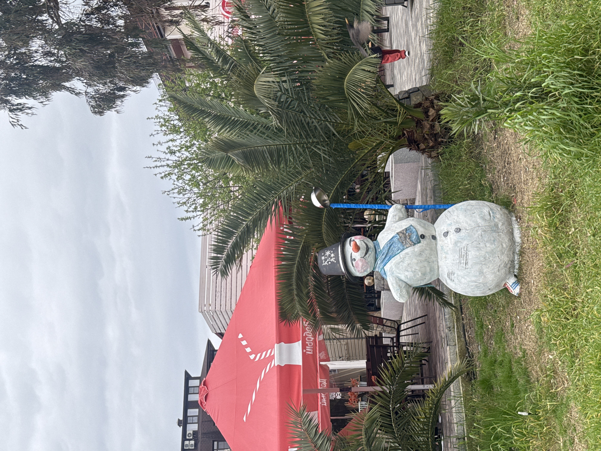 Snowman spotted at sidewalk cafe with tropical setting in Russia