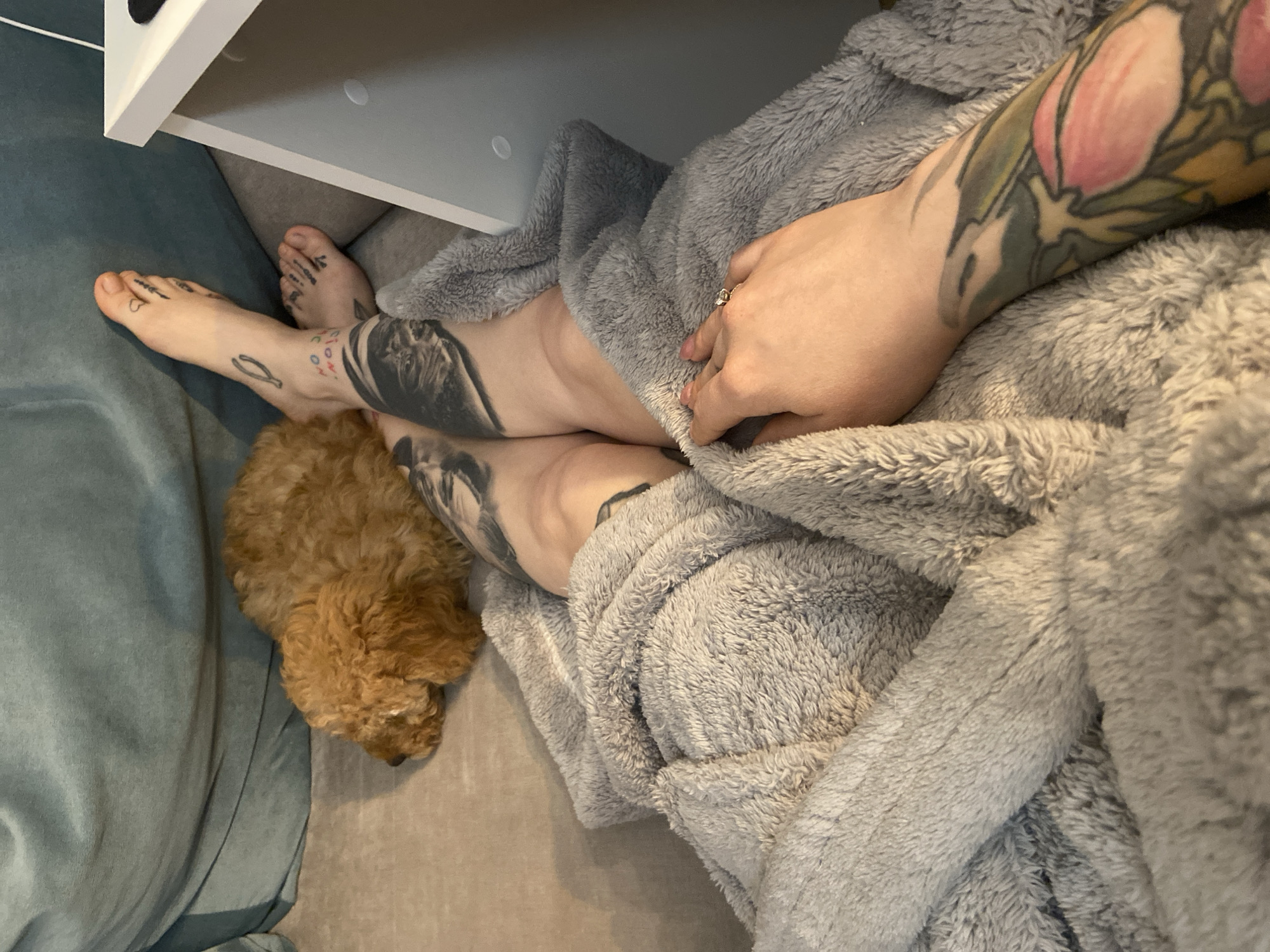 Person relaxes with small dog on sofa in Saratov home