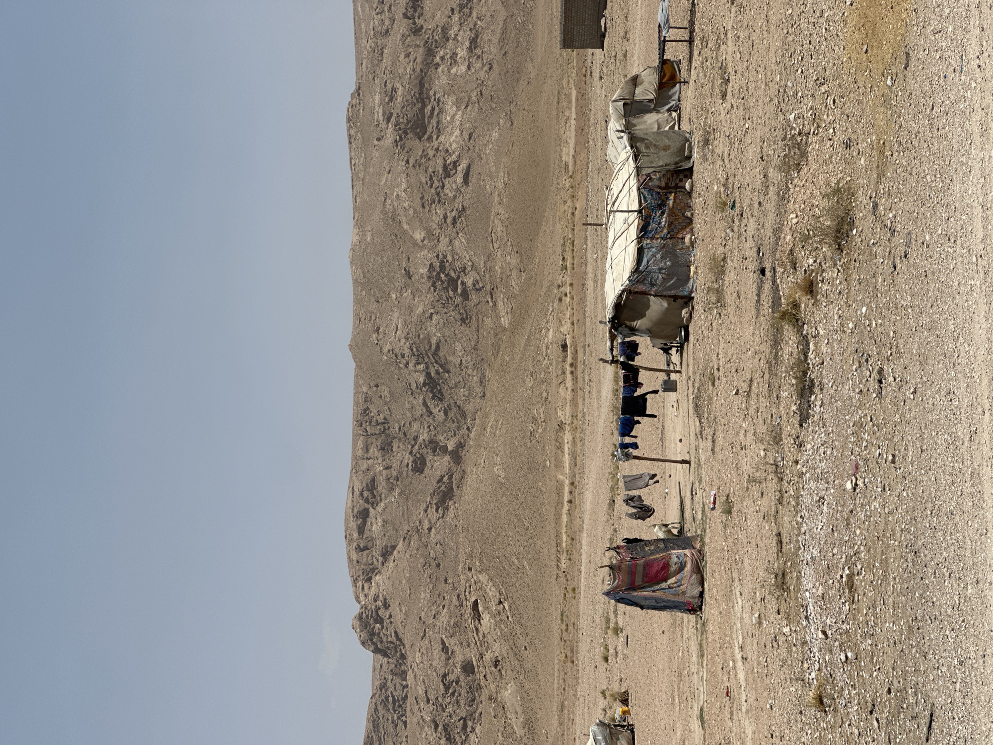 Pastoral life near a makeshift shelter in arid Qalat, Pakistan
