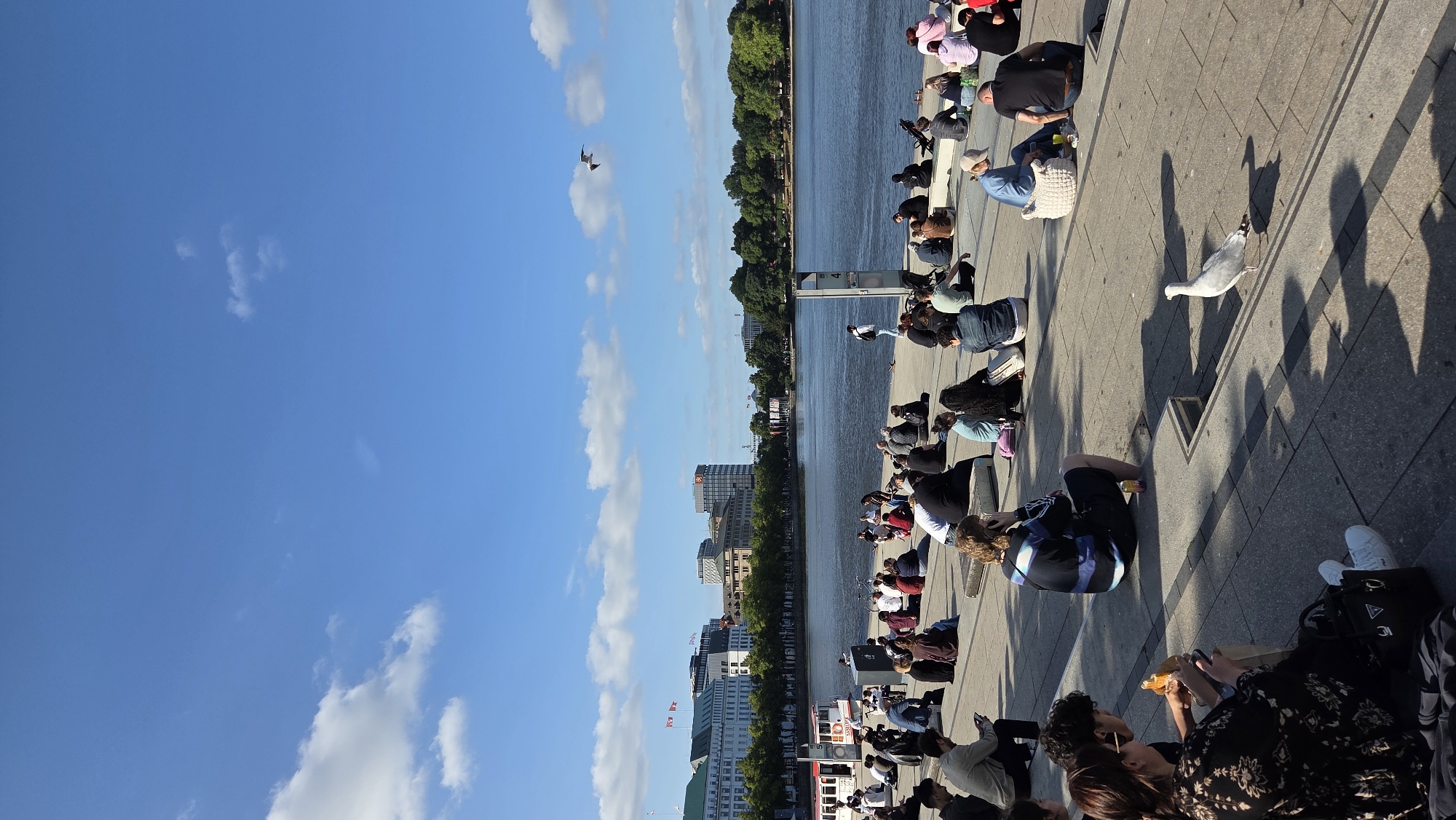 Crowds gather along Inner Alster Lake on a sunny Hamburg afternoon