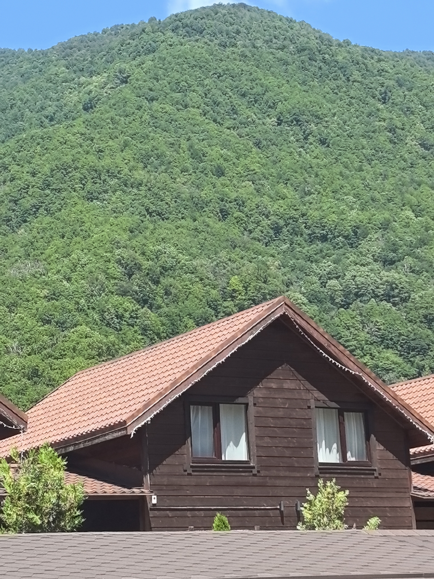 Log cabin nestled at the foot of a forested mountain