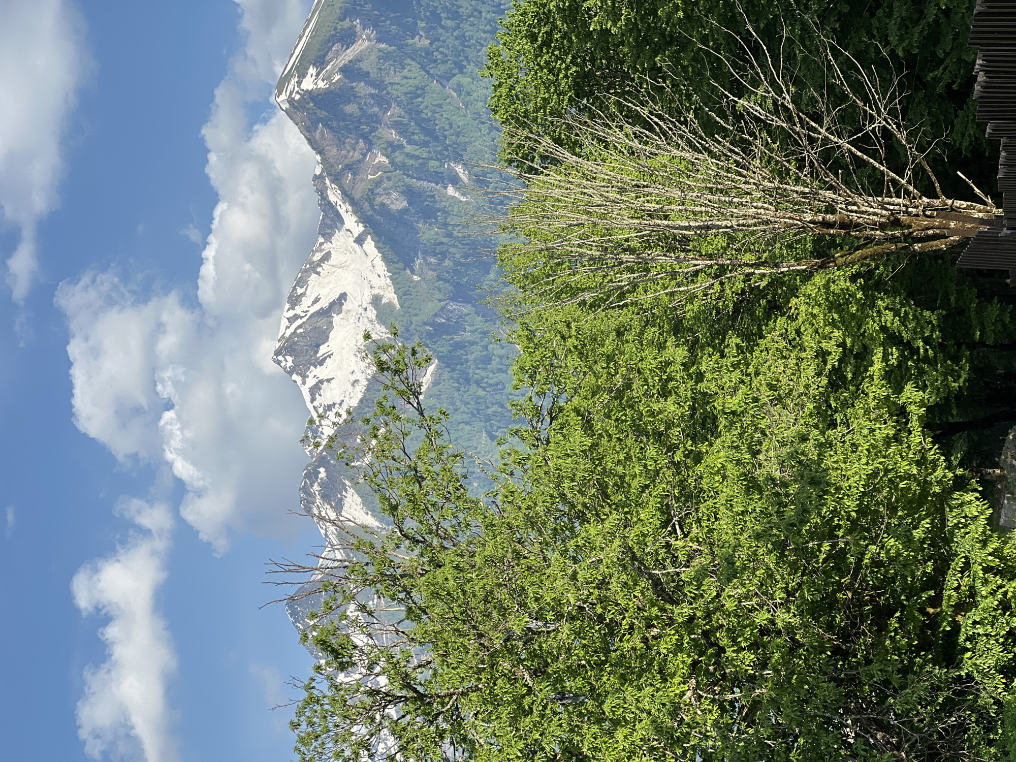 Clear day scenery documented in Krasnaya Polyana mountains