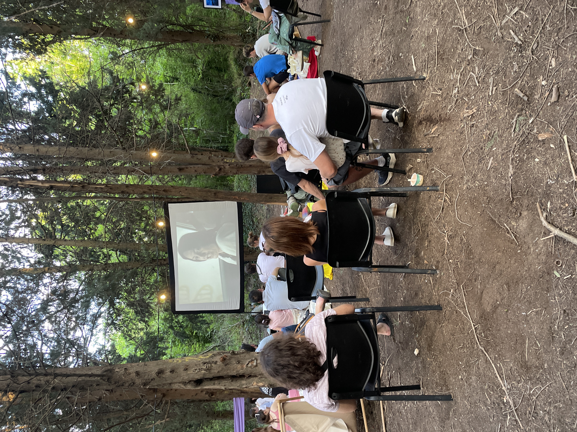 Outdoor arts event at dusk: film, lights, murals, and gathering
