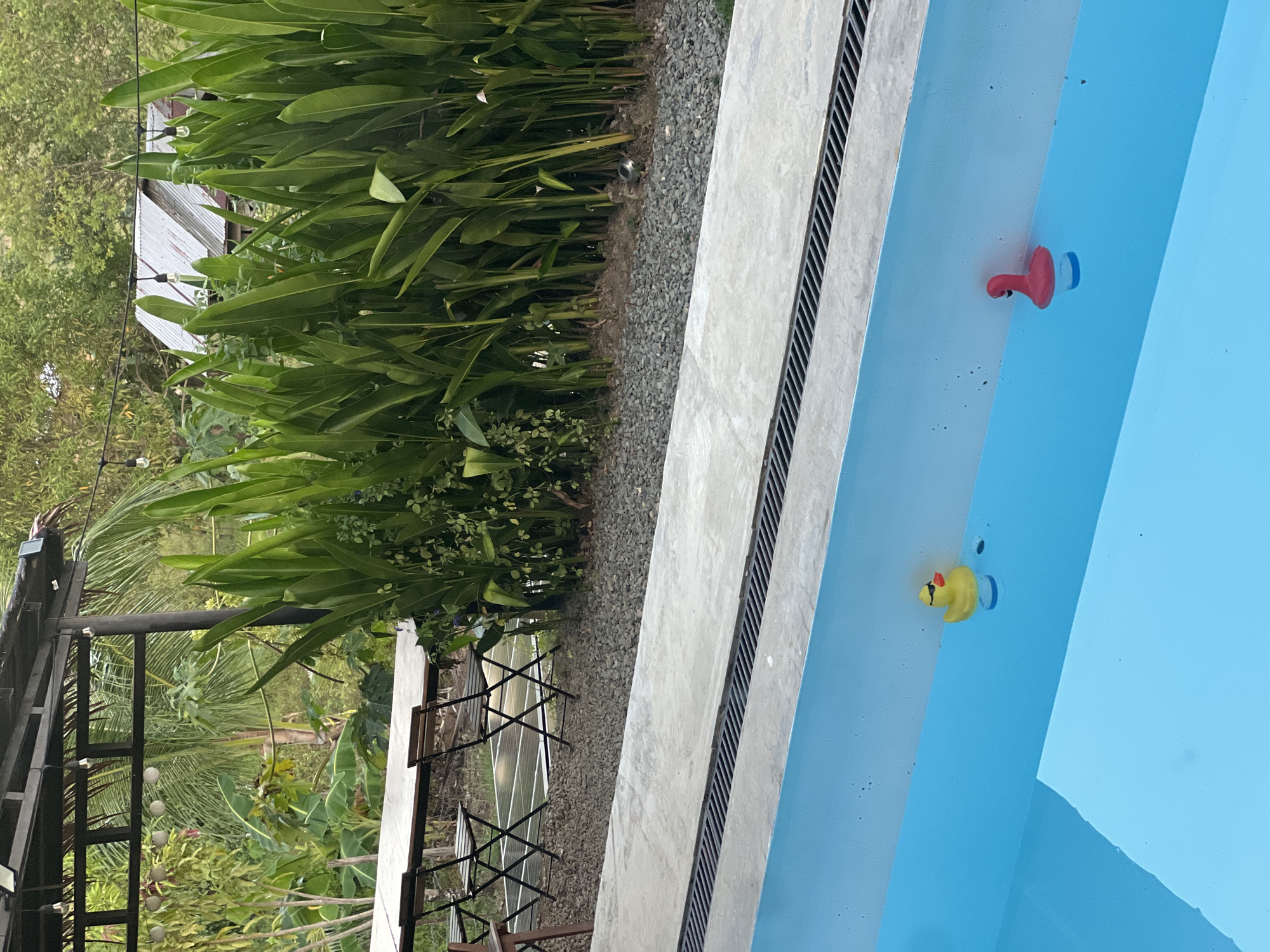 Poolside work-from-anywhere morning in General Luna, Philippines