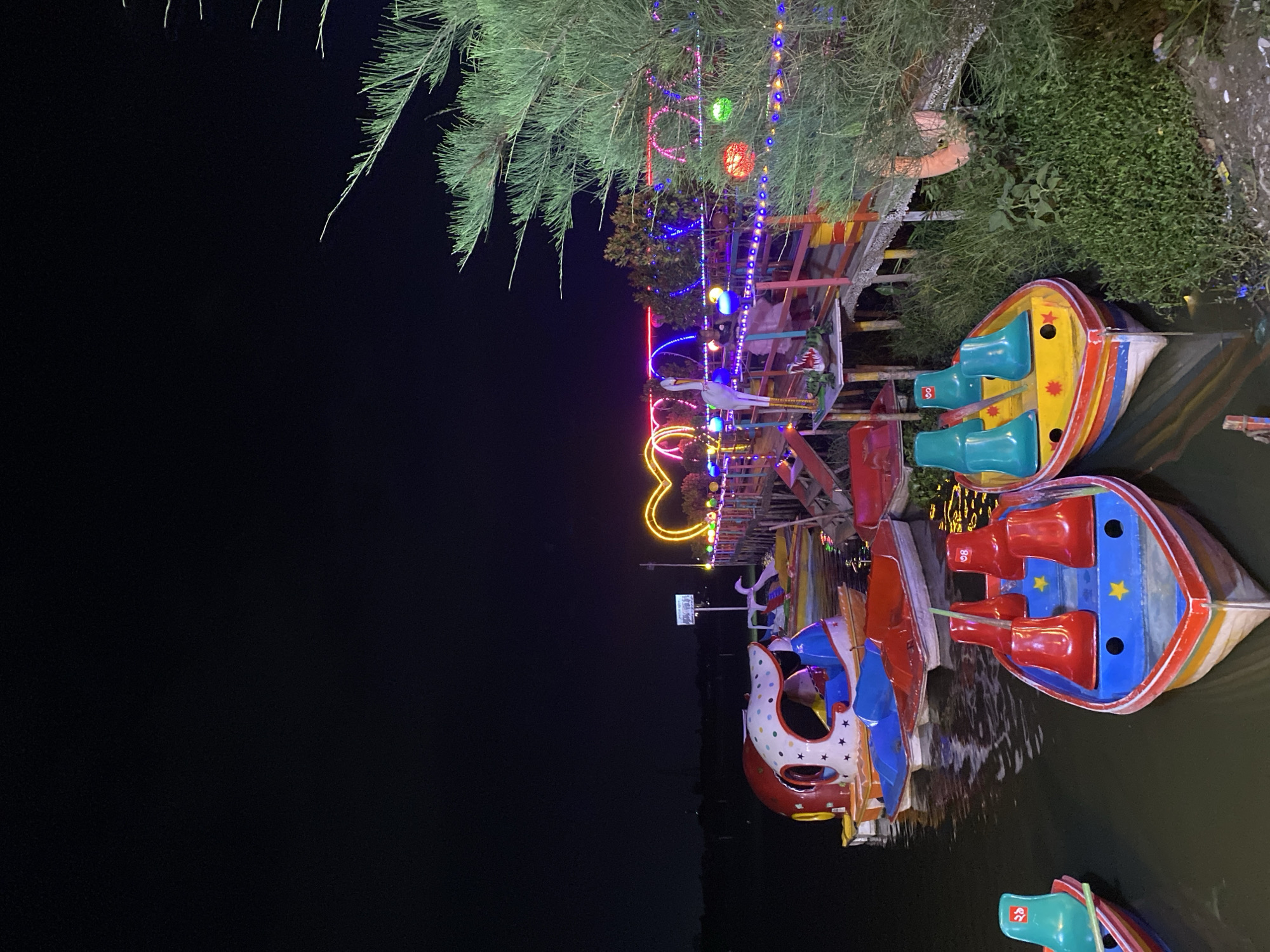 Night carnival scene documented in Dhaka with rides and boats