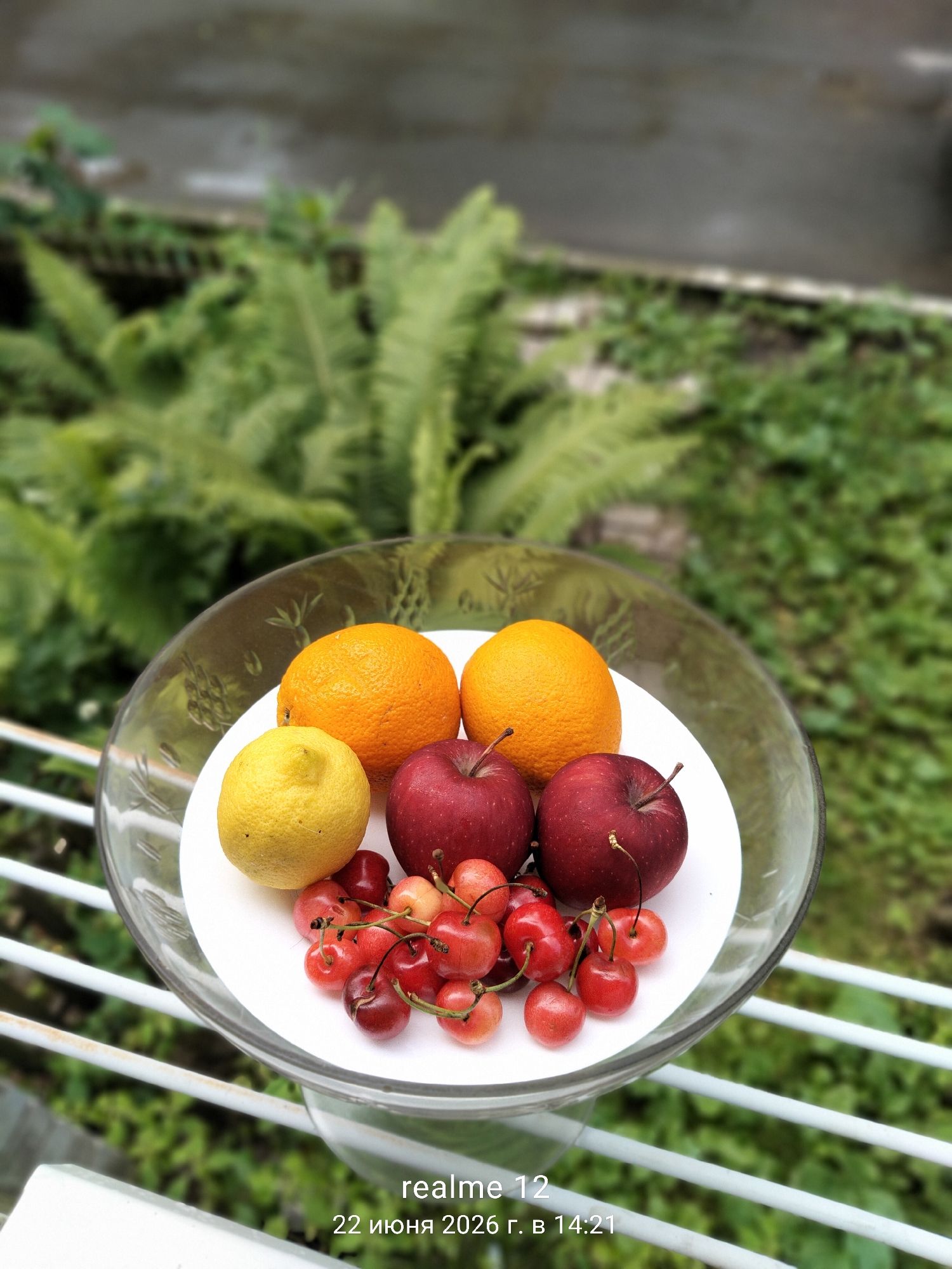 Everyday snapshots from a home in Shchyolkovo, Russia