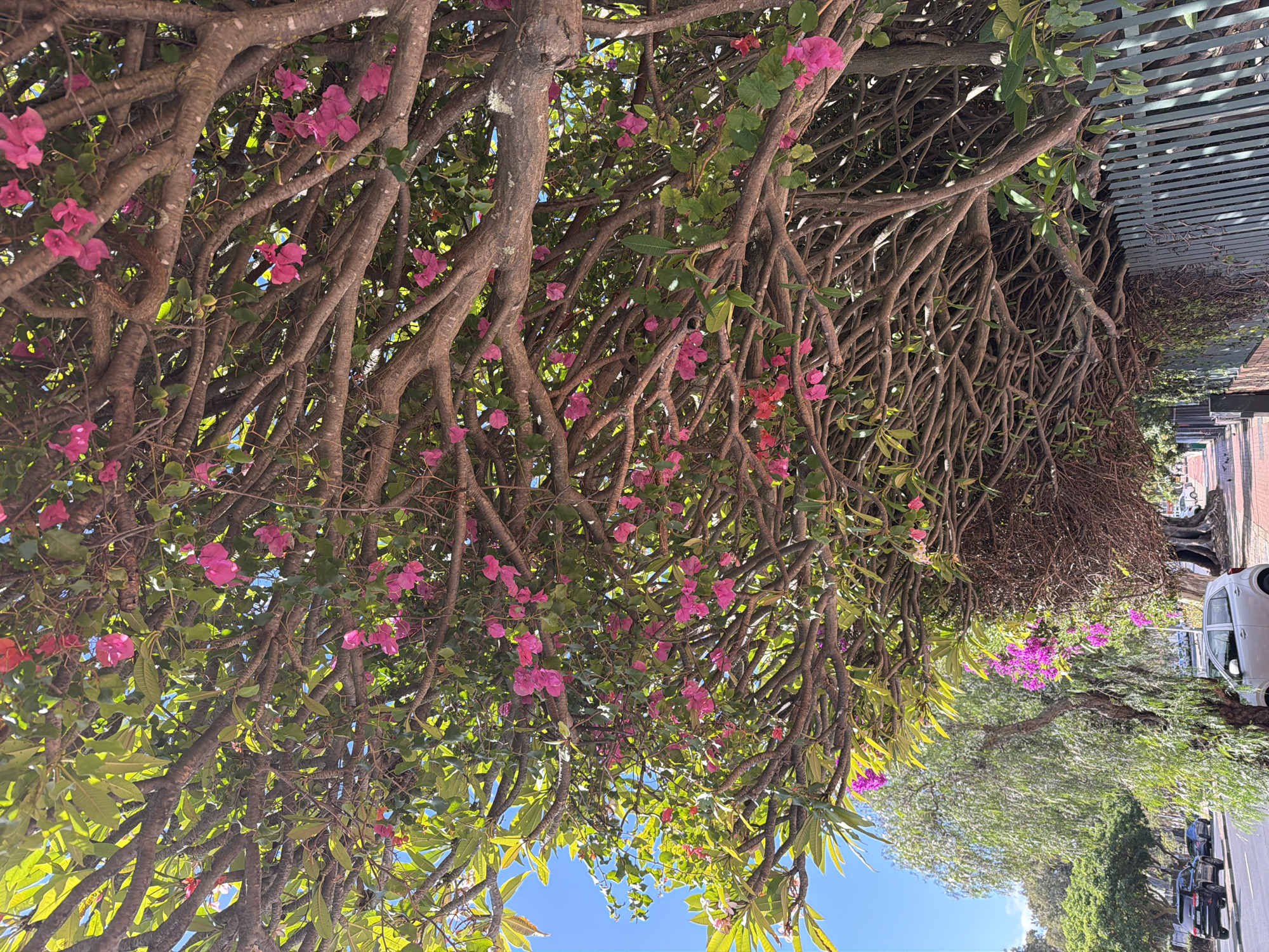 Morning scenes documented across Cape Town neighborhoods and coastline