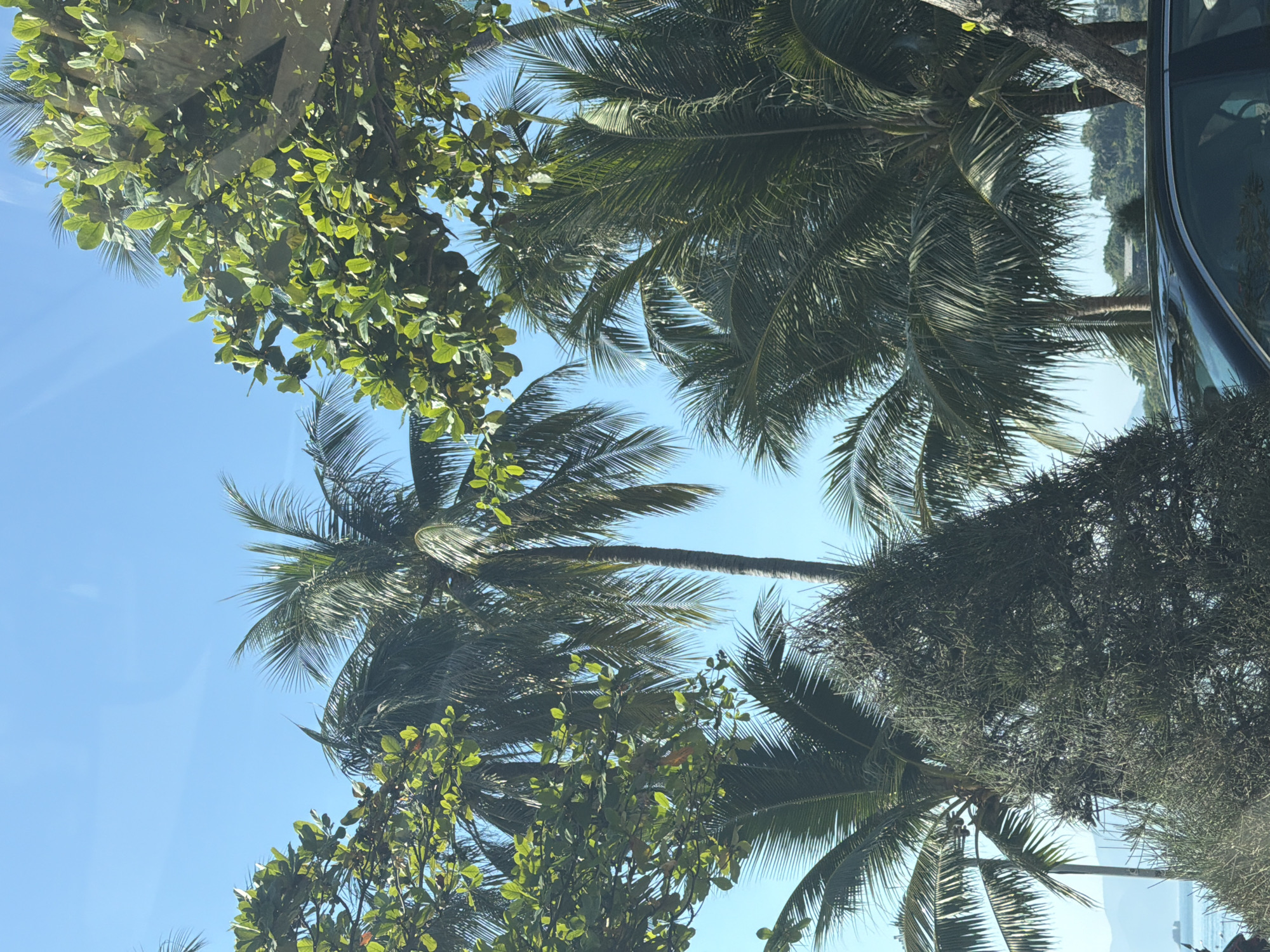 Sunny morning in Nha Trang: beach, streets, and bakery