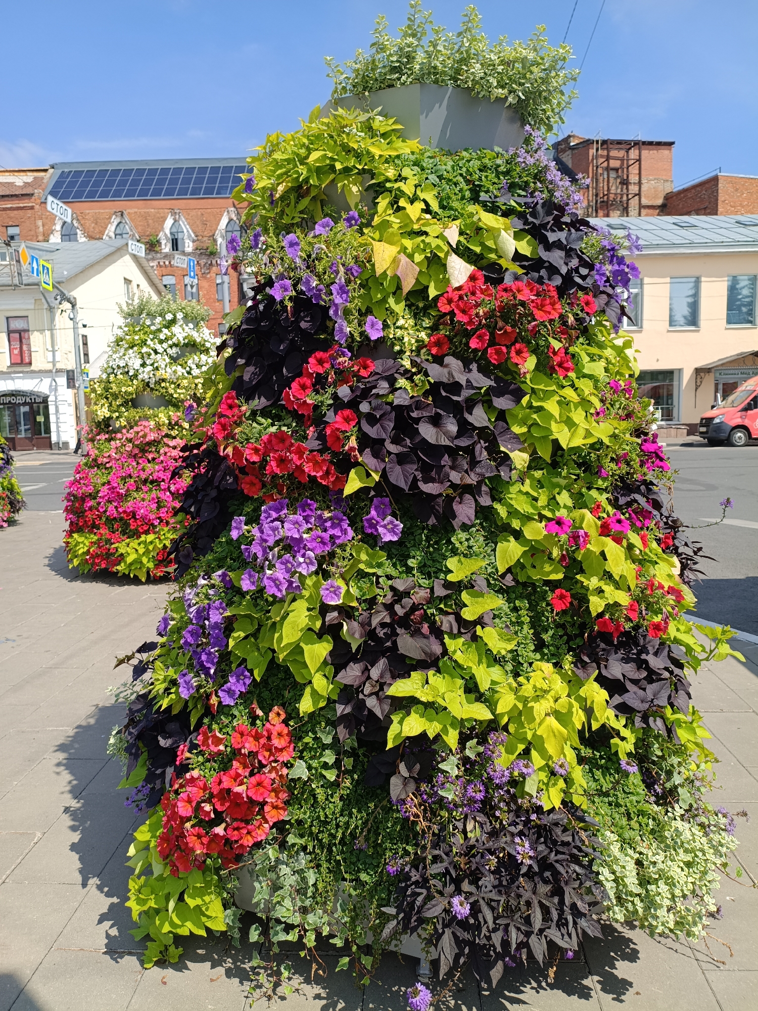 Street art, bear statues, and summer blooms in central Yaroslavl