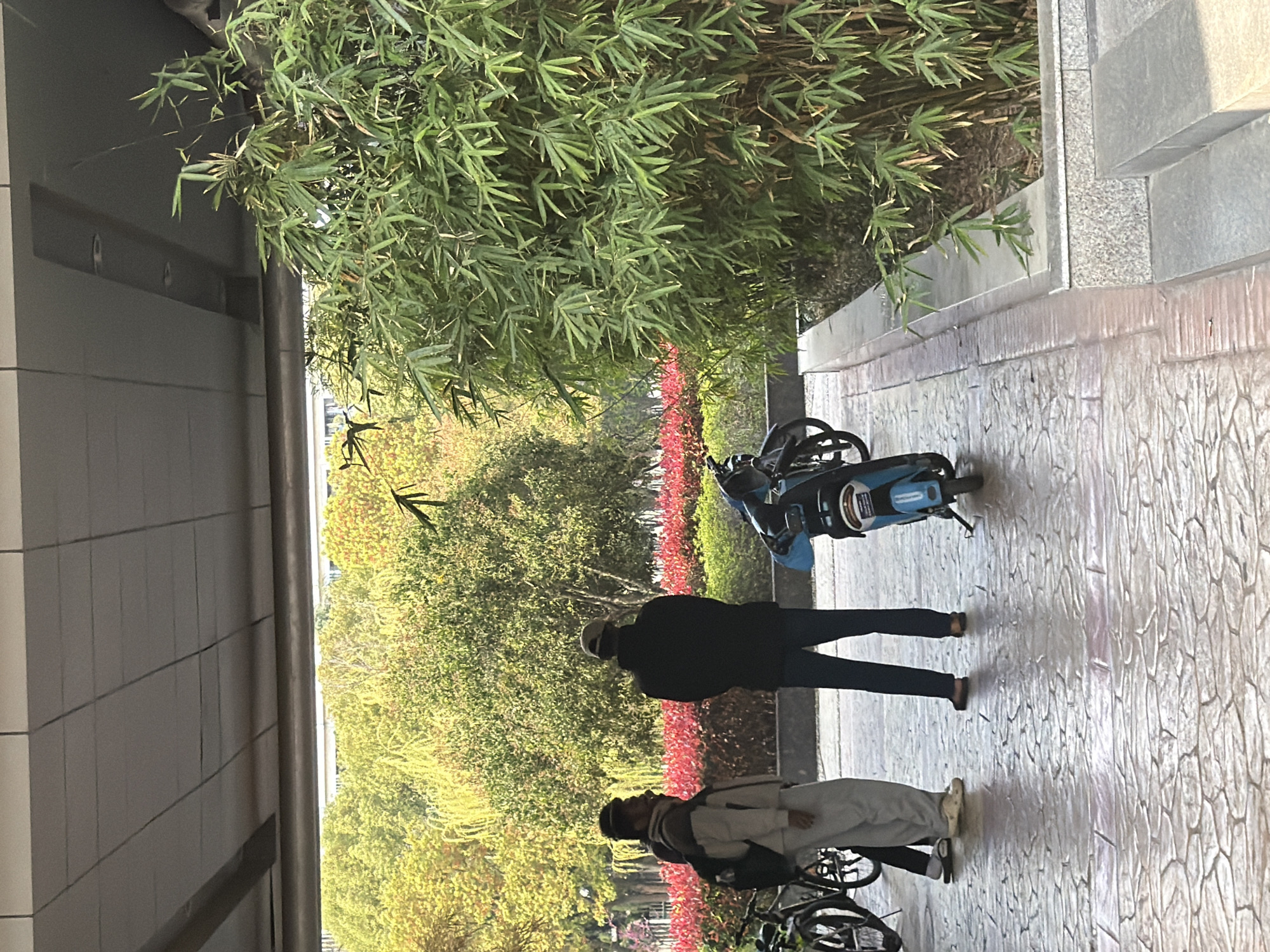 Spring blossoms and campus life captured in Jiangning District