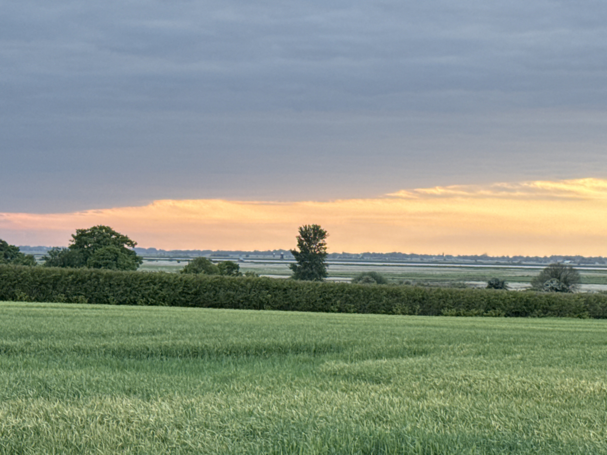 Rural Great Yarmouth countryside documented near Bradwell Hall at sunset