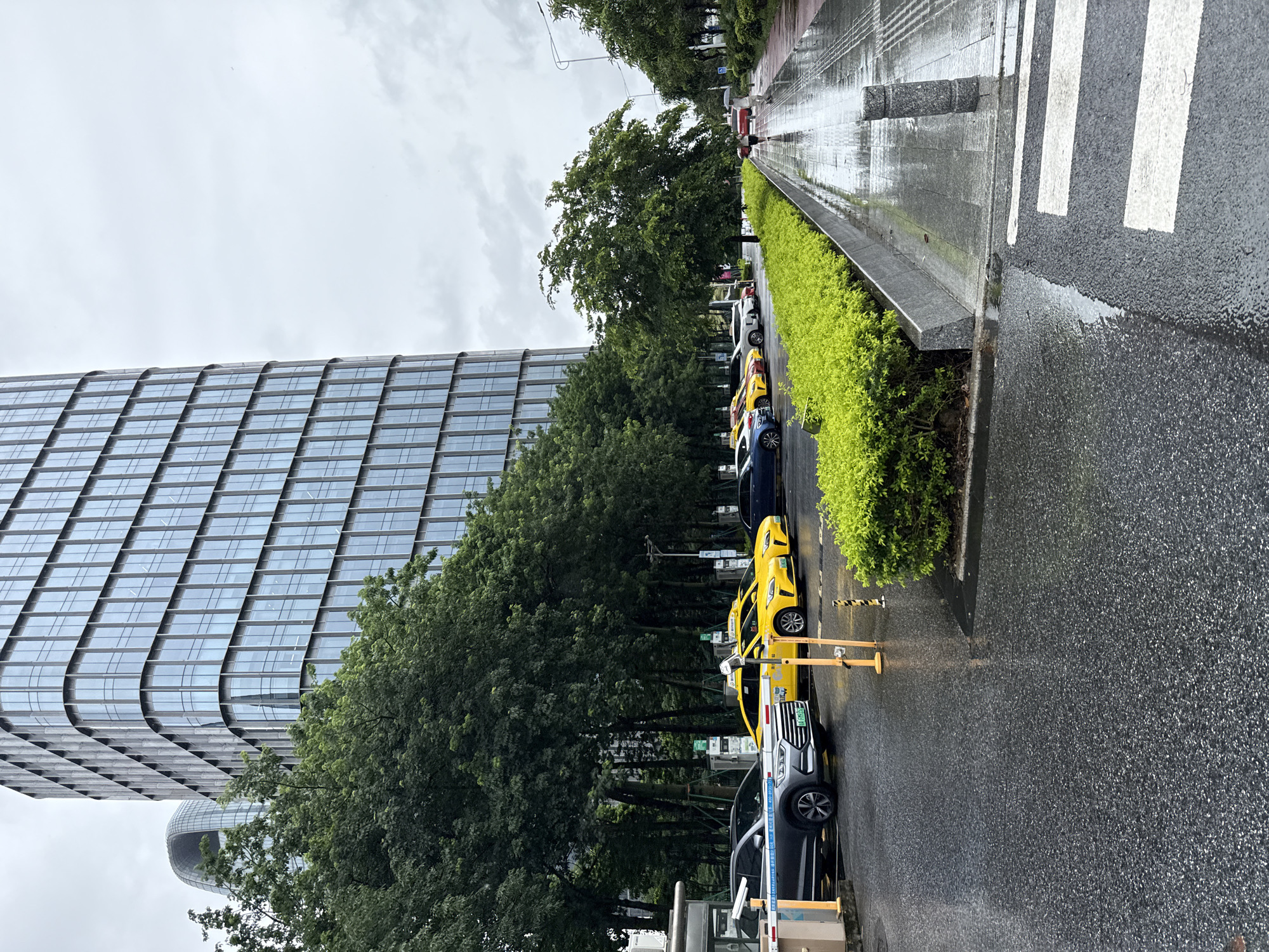 Wet streets and glass towers on a rainy Haizhu morning