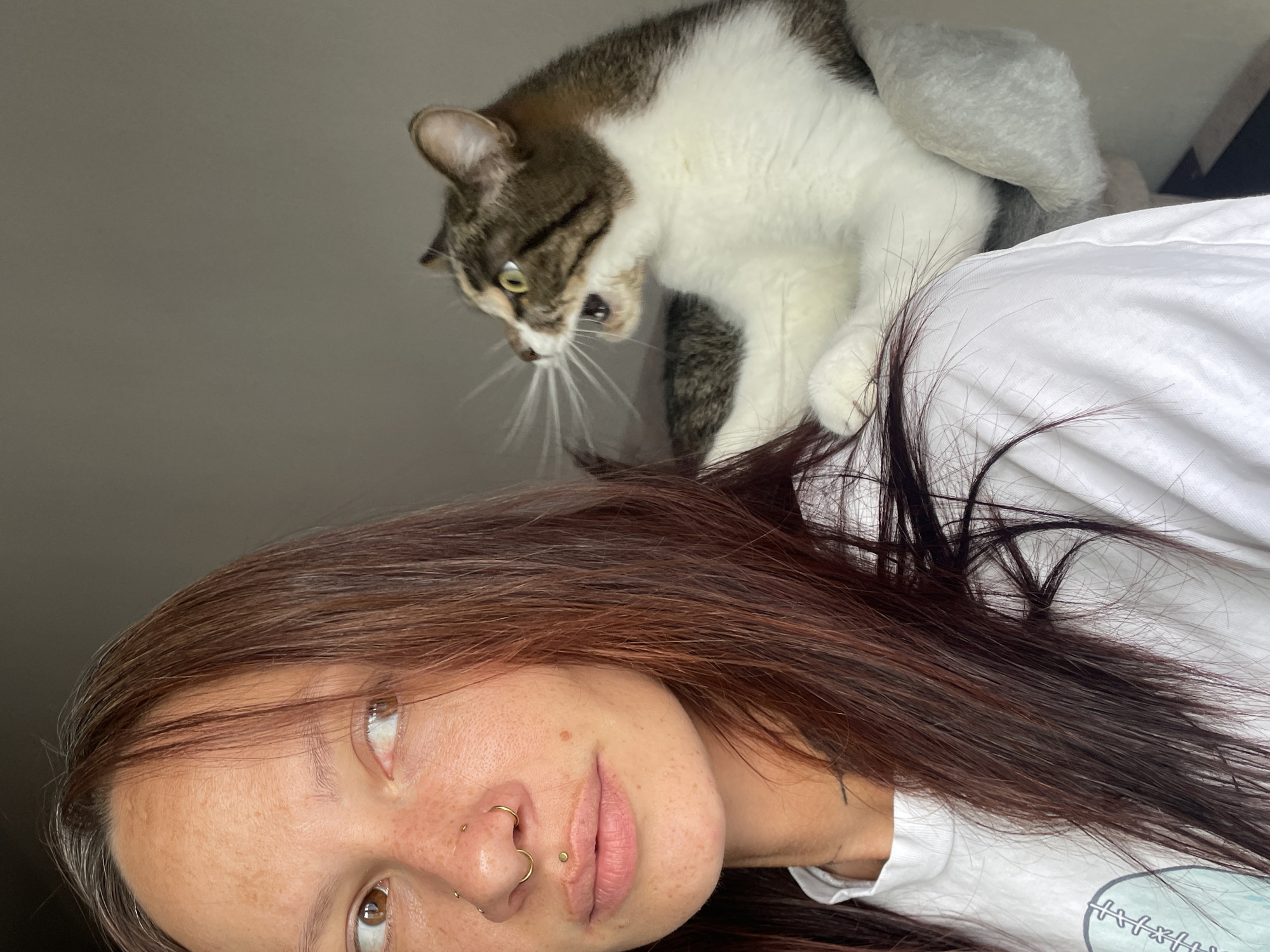 Portrait and tabby cat on a grey cat tree, Pervomaysky