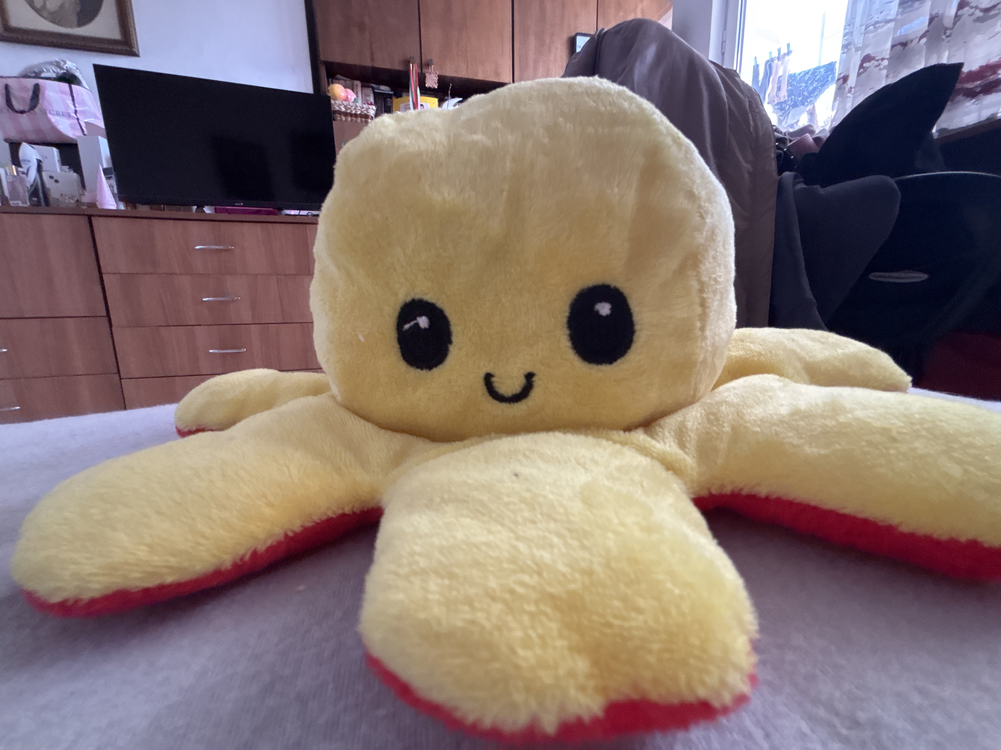 Plush toys and Apple Watch documented in Troyan, Bulgaria
