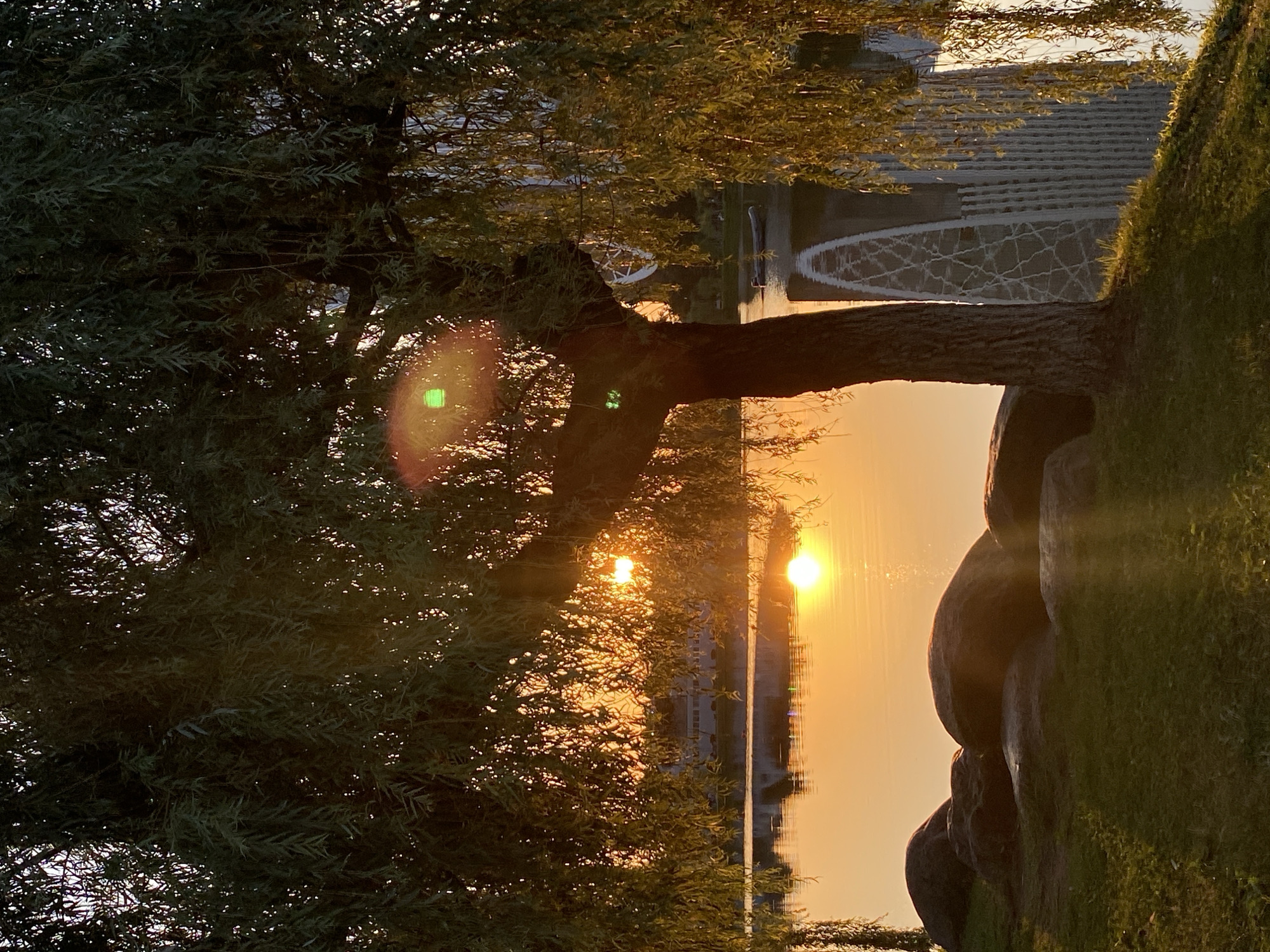 Sunset hour along Batumi's waterfront boulevard
