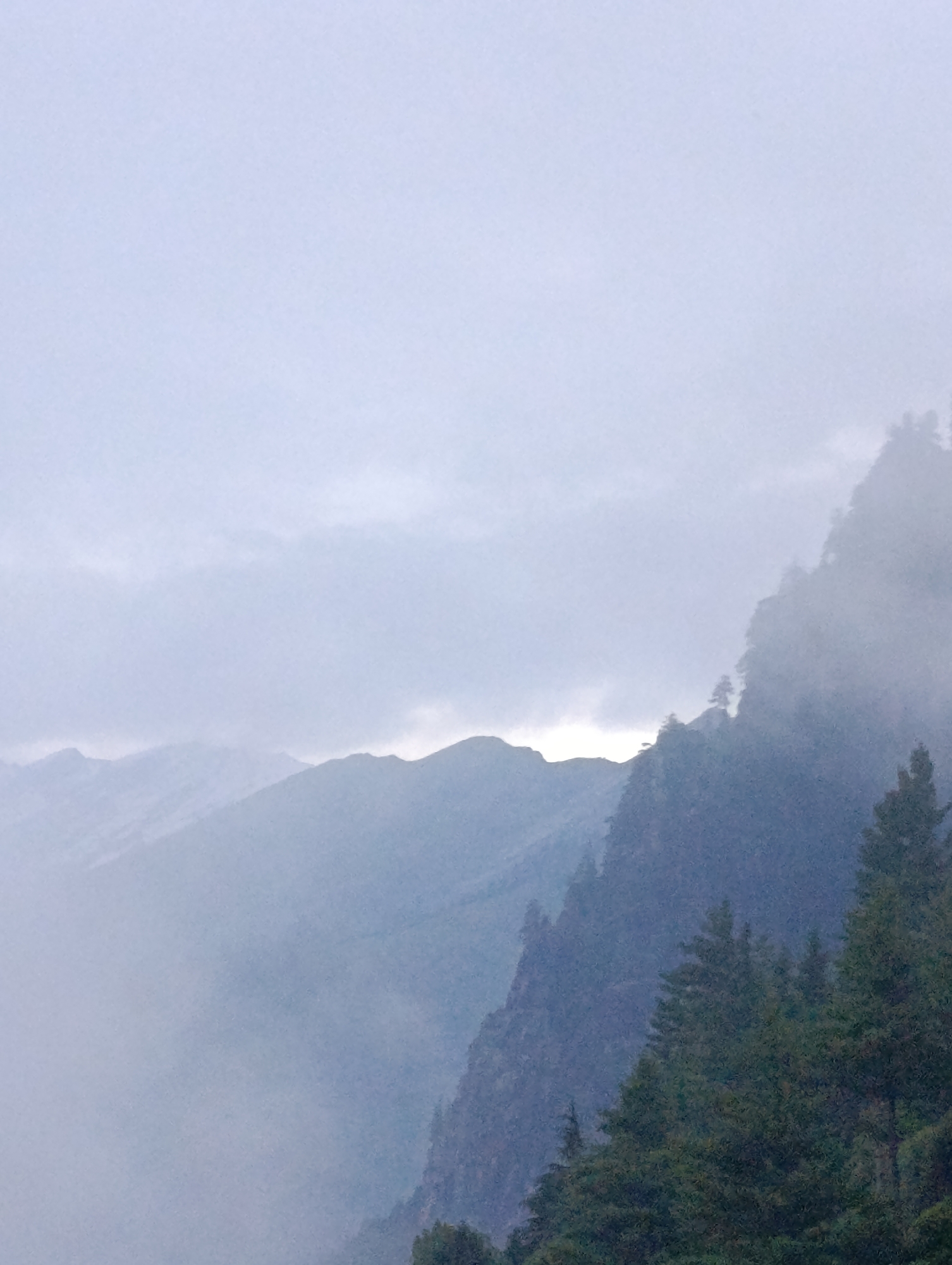 Fog-layered mountain landscape with pine-covered slopes