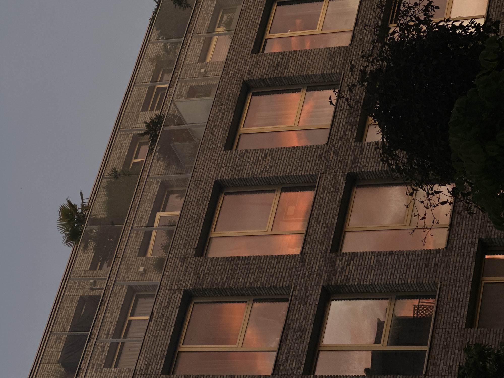 Evening documentation of Amsterdam architecture and peonies captured