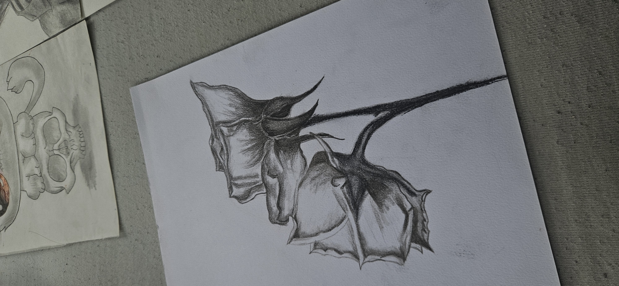 Artist creates skull-themed drawings in Kostenets, Bulgaria morning session