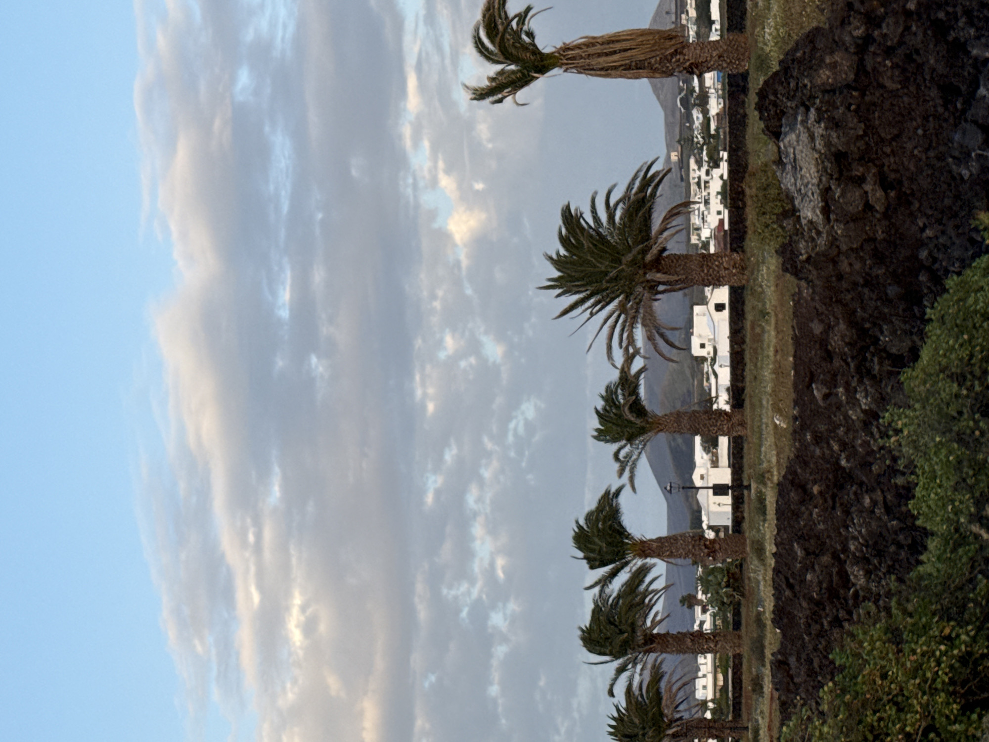 Palm-lined coast observed in Yaiza, Spain with mountain backdrop