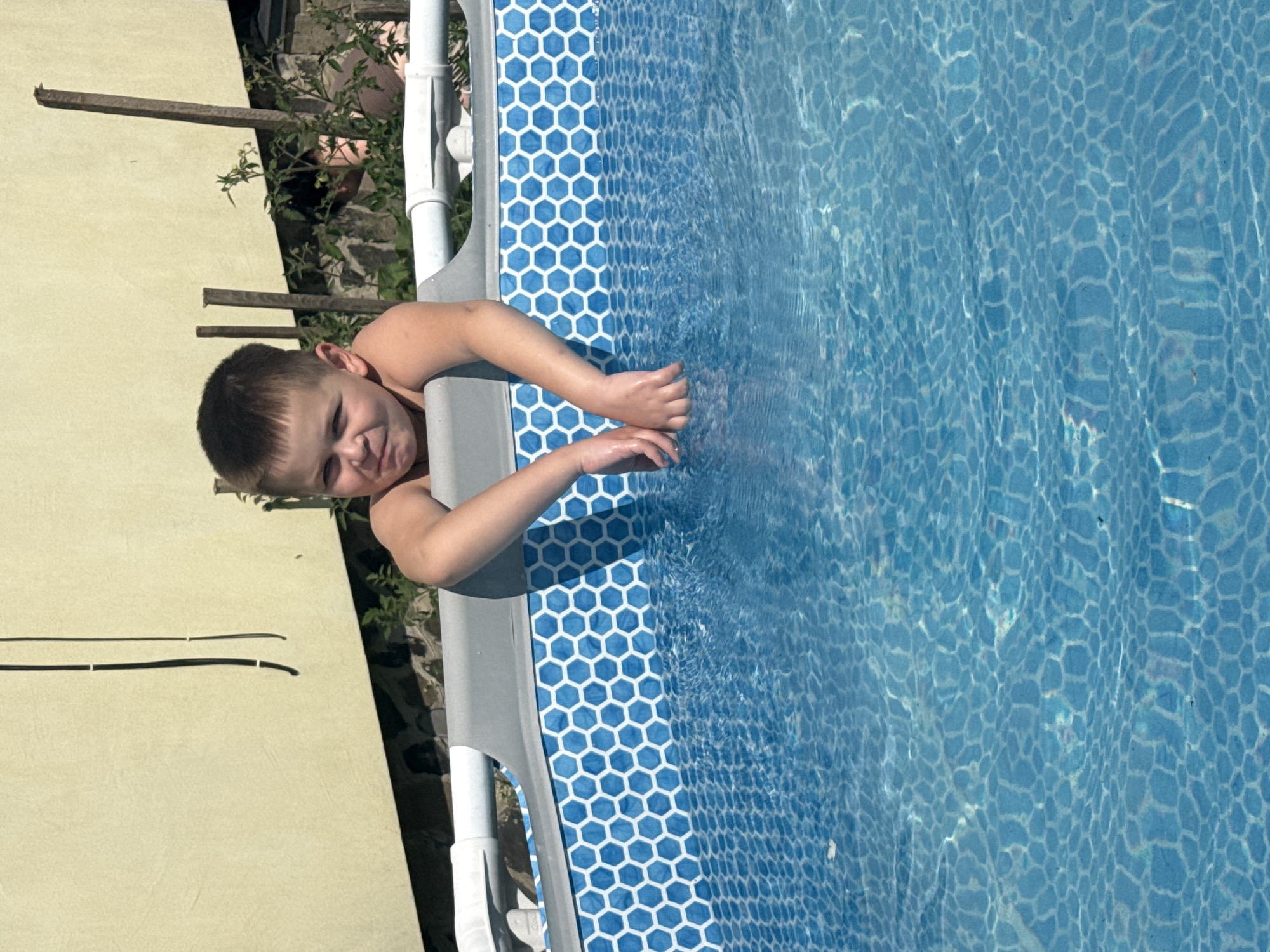 Summer afternoon: pool time, garden harvests, and backyard pets