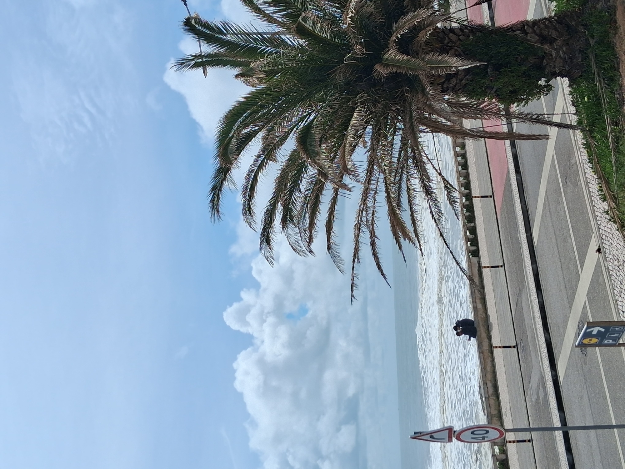 Casual architecture and palm tree scenes documented in Figueira da Foz