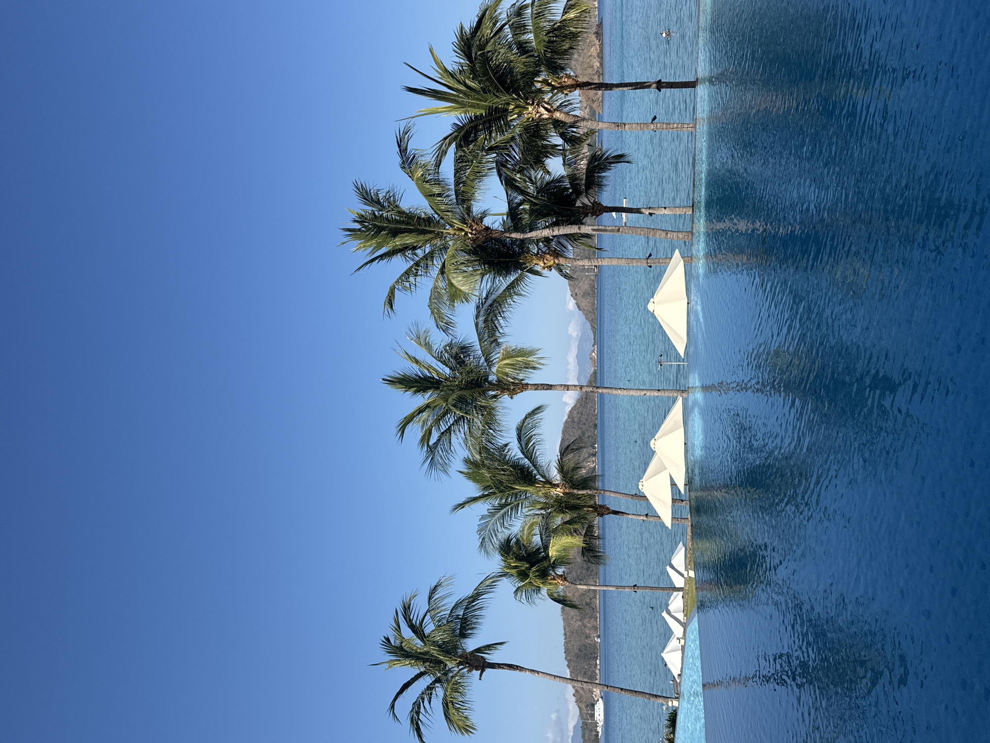 Labuan Bajo bay views, resort grounds, and evacuation signage