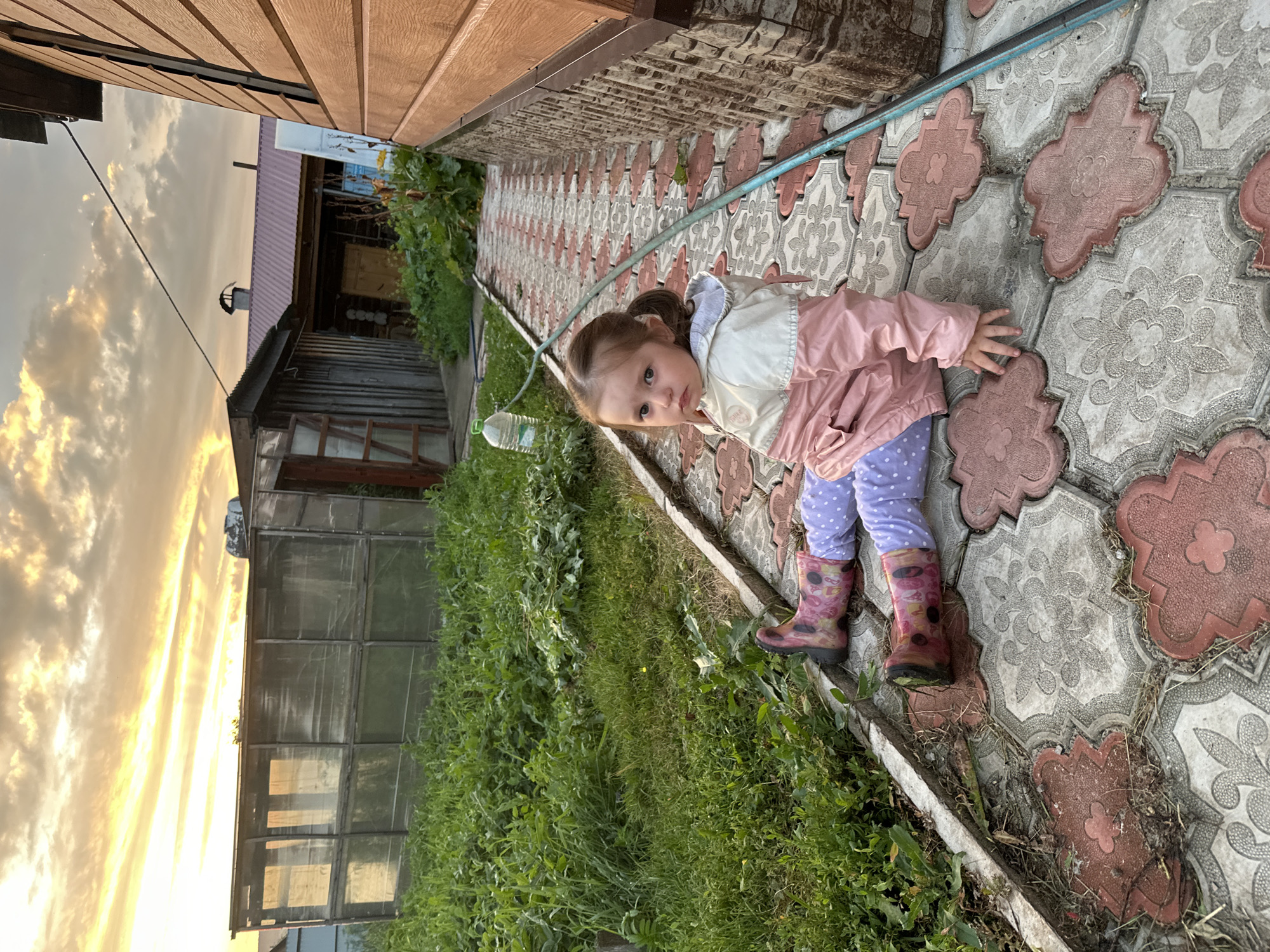 Child plays outside at sunset in rural Yaroslavka, husky watches nearby