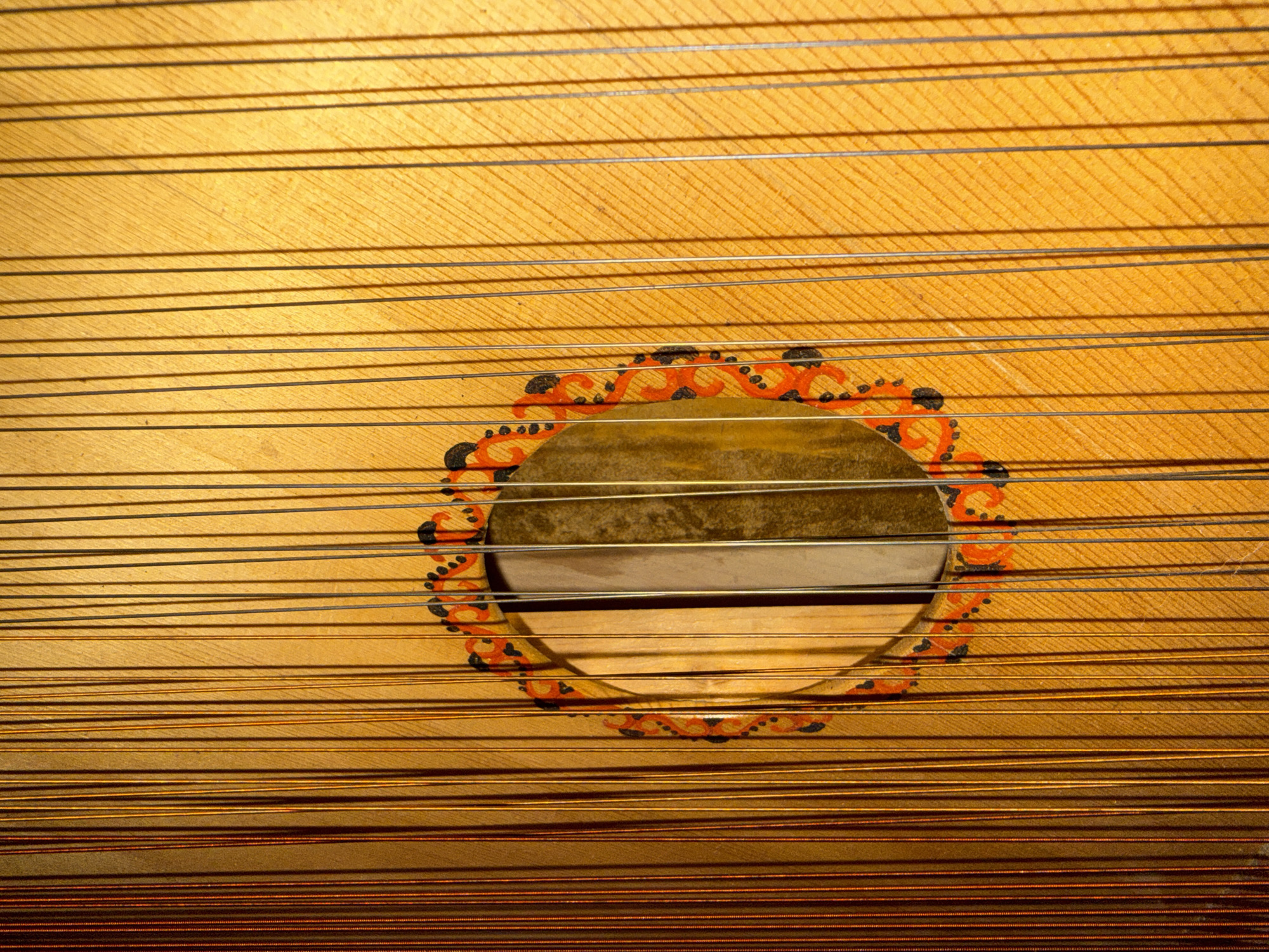 Instruments, wildlife, and everyday objects across an afternoon