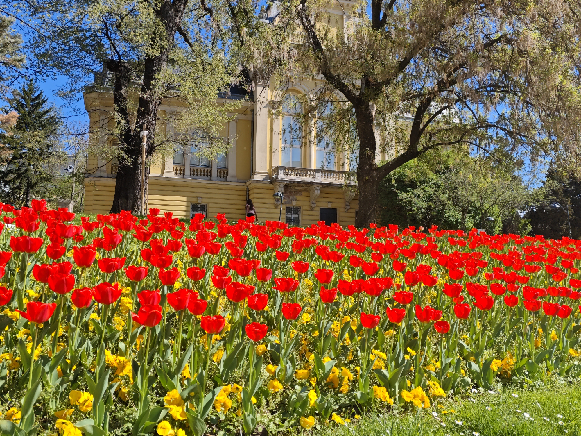 Spring blooms and outdoor dining documented in Sofia park