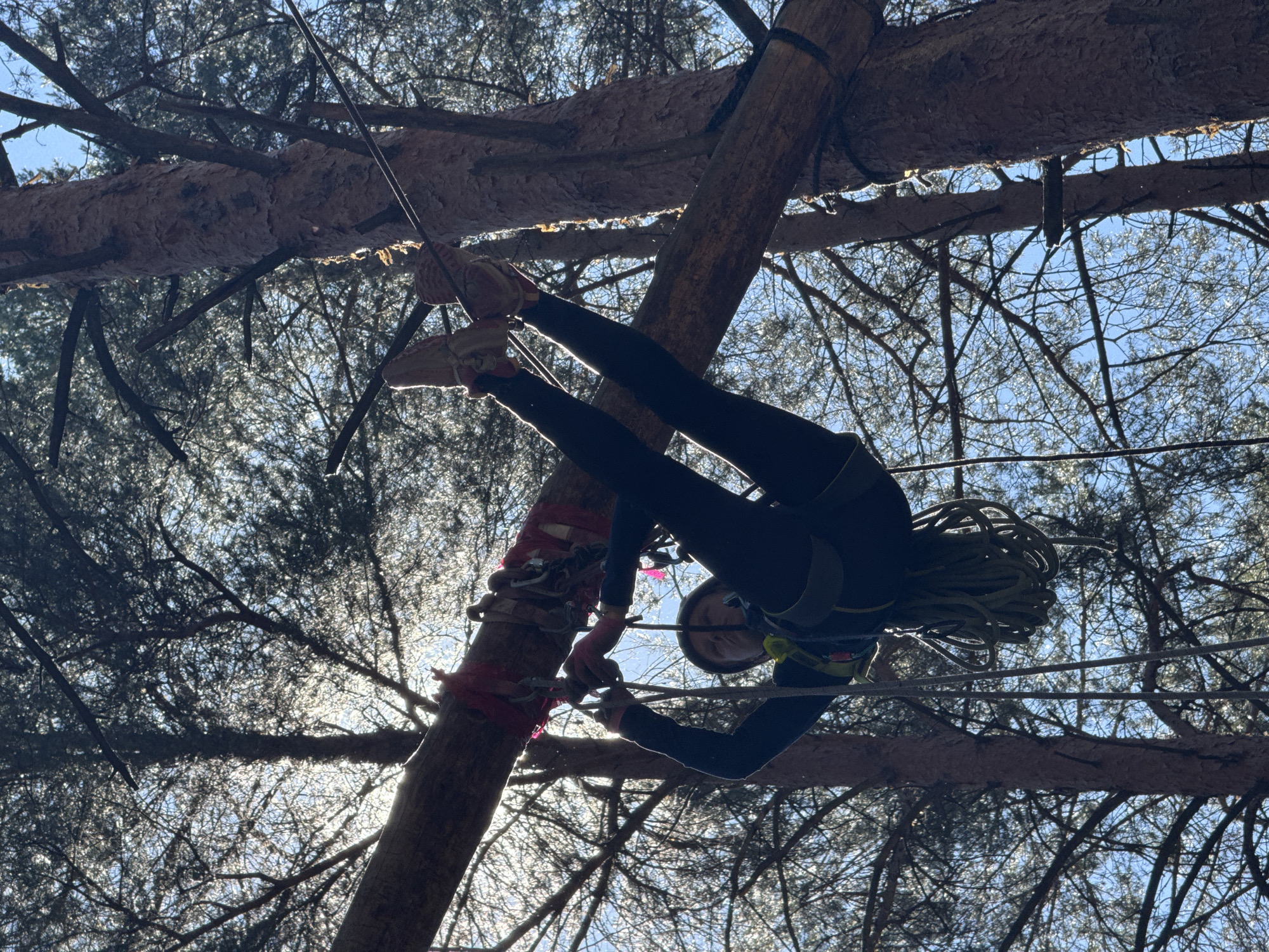 Young adventurers tackle ropes course in Chaikovsky forest park