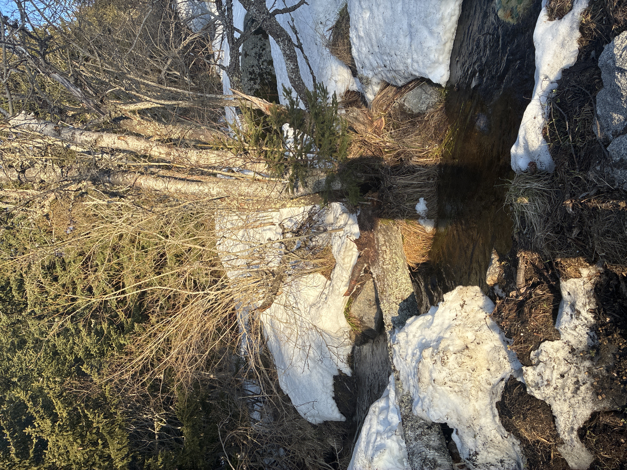 Spring melt stream flows through snowy Sofia landscape