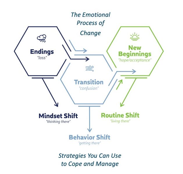 Graphic that illustrates the emotional process of change and the strategies you can use to cope and manage, including mindset, behavior, and routine shifts