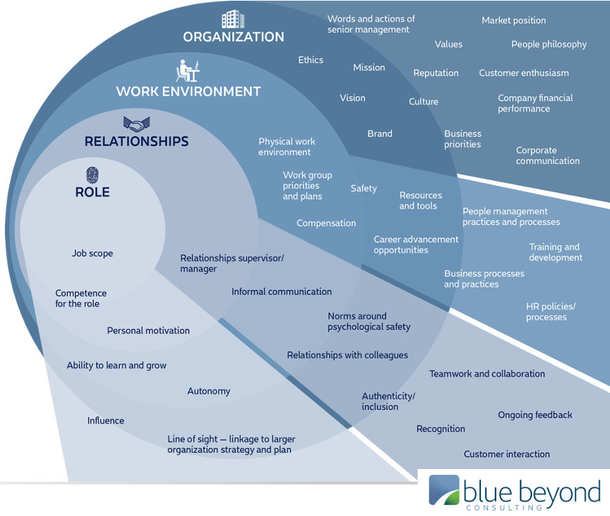 Employees definition. Employee experience. Employee experience Management. Experience или the experience. Employee перевод.