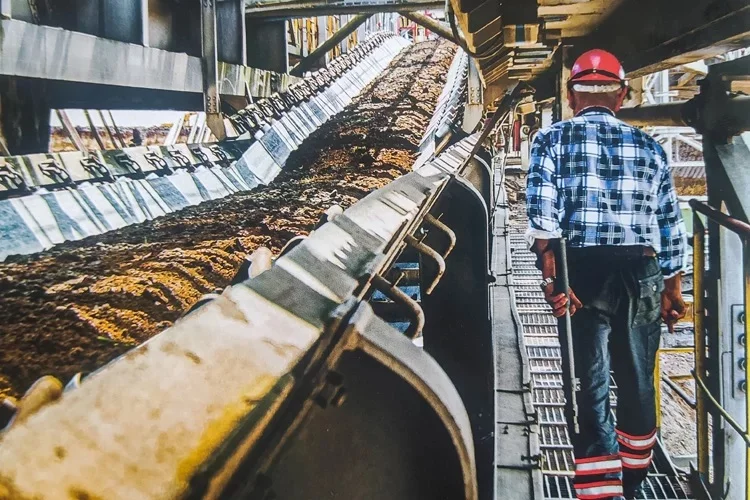 Nagroda na Barbórkę, a później premia roczna. Ile zarabiają górnicy z Bełchatowa?