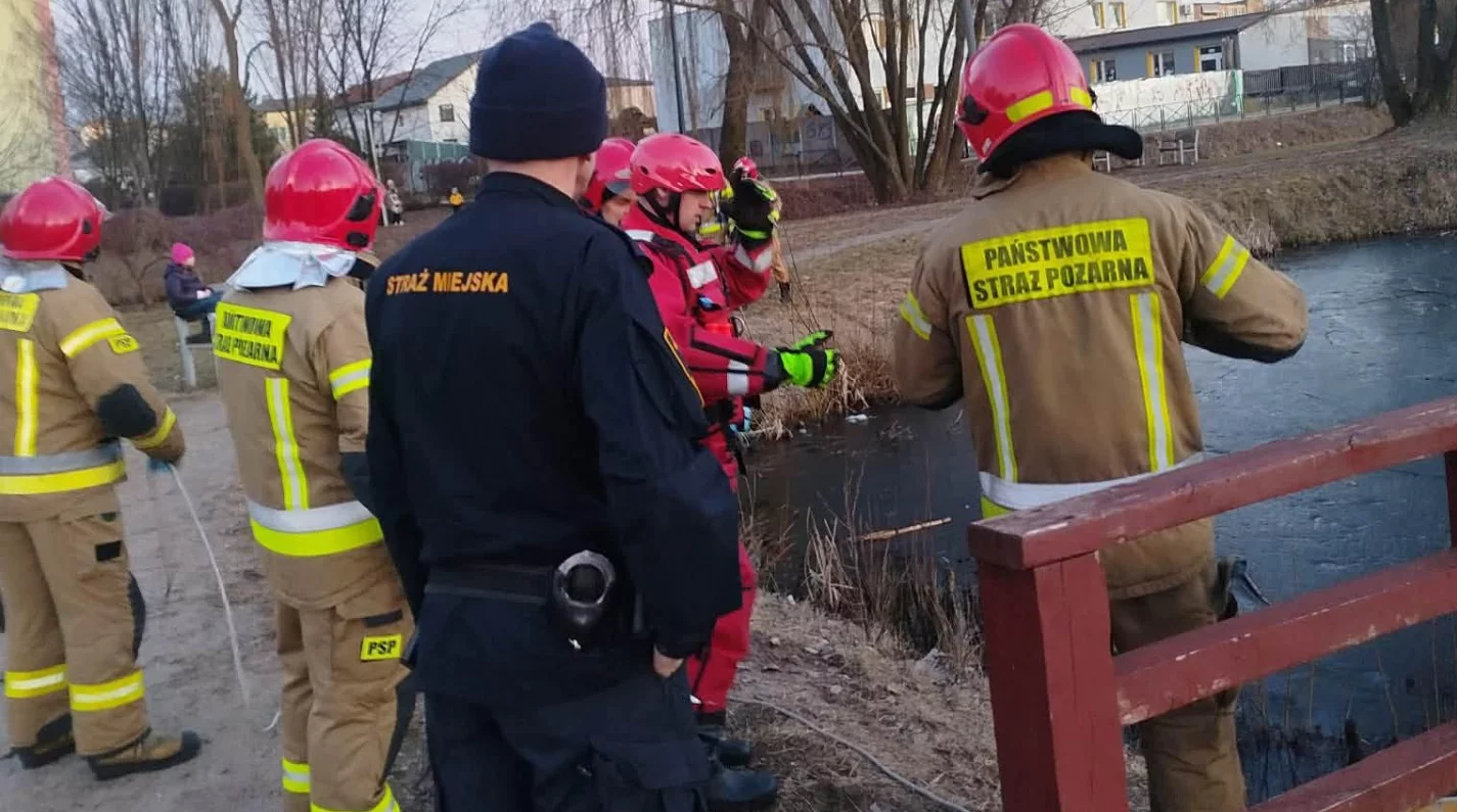 Służby ratowały dziewczynkę z zamarzniętego stawu. Mogło dojść do tragedii [FOTO]