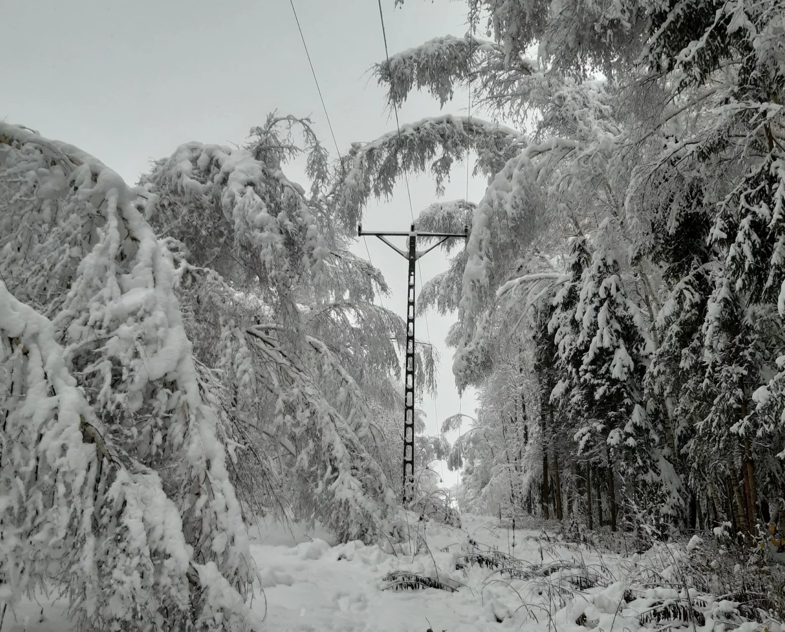 Masowe awarie sieci energetycznej. Tysiące ludzi bez prądu w woj. łódzkim
