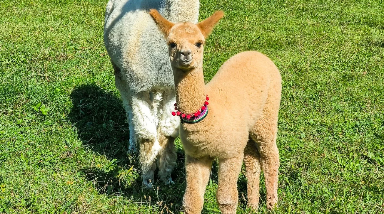 Nowy mieszkaniec bełchatowskiej parafii. Na świat przyszedł maluch rodem z Peru [FOTO]