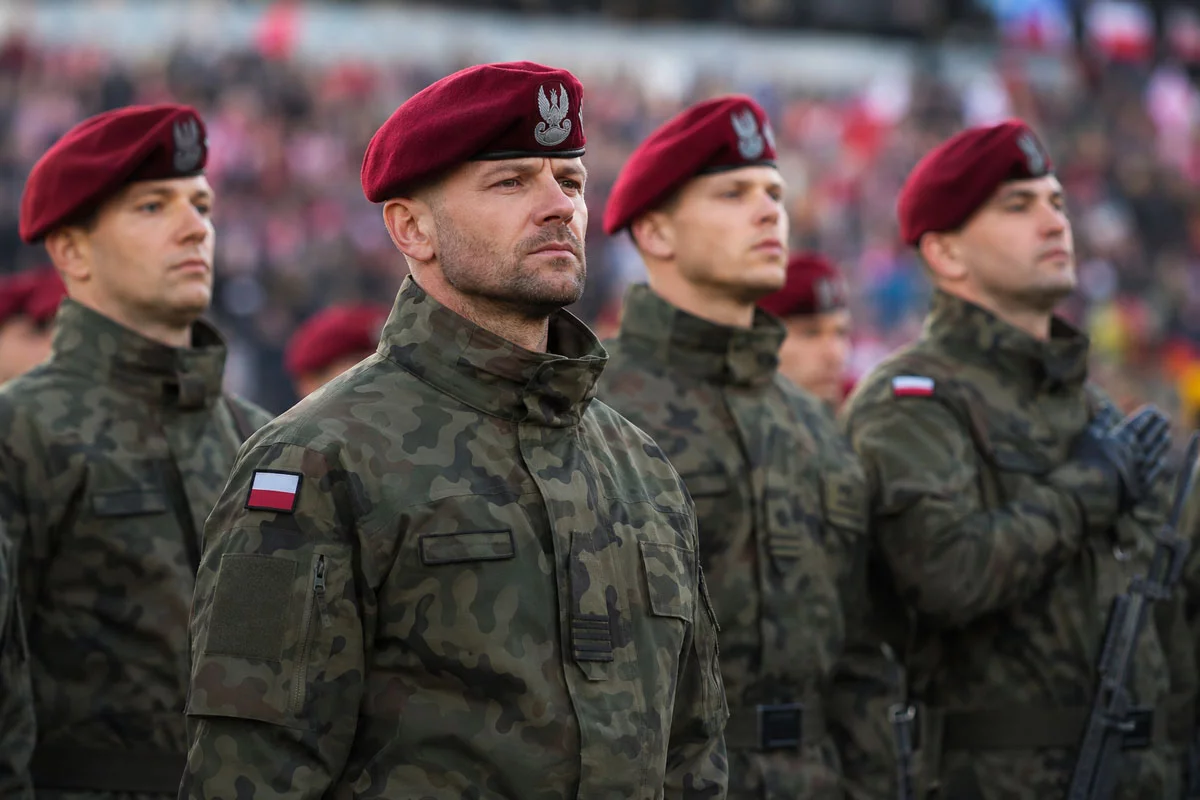Wojsko wzywa energetyków, informatyków, kierowców. Kto jeszcze może dostać kartę mobilizacyjną?