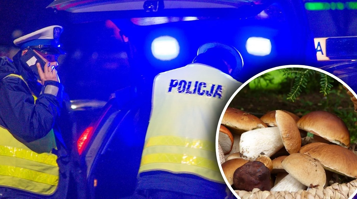 Chwile grozy podczas grzybobrania w naszym powiecie. Ogłoszono alarm w jednostce