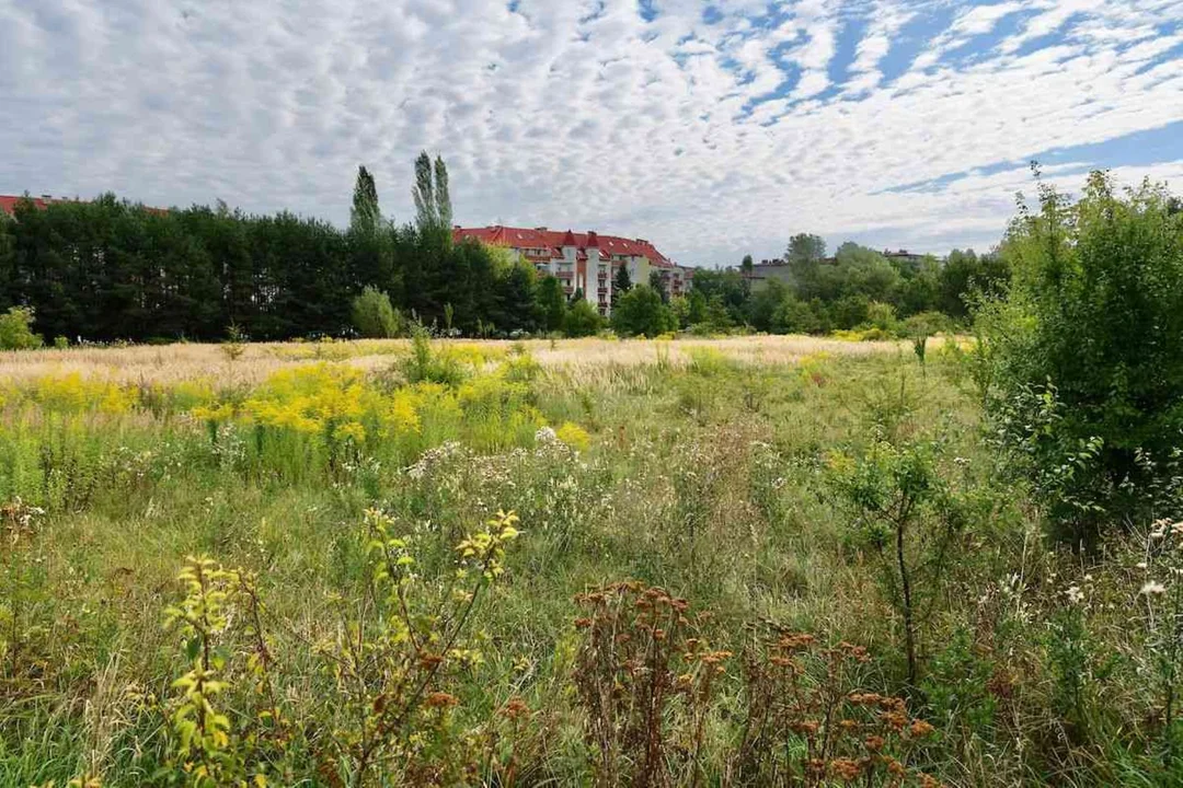 Nowy park na Górnej. Łódzcy radni oficjalnie nadali mu nazwę [FOTO]