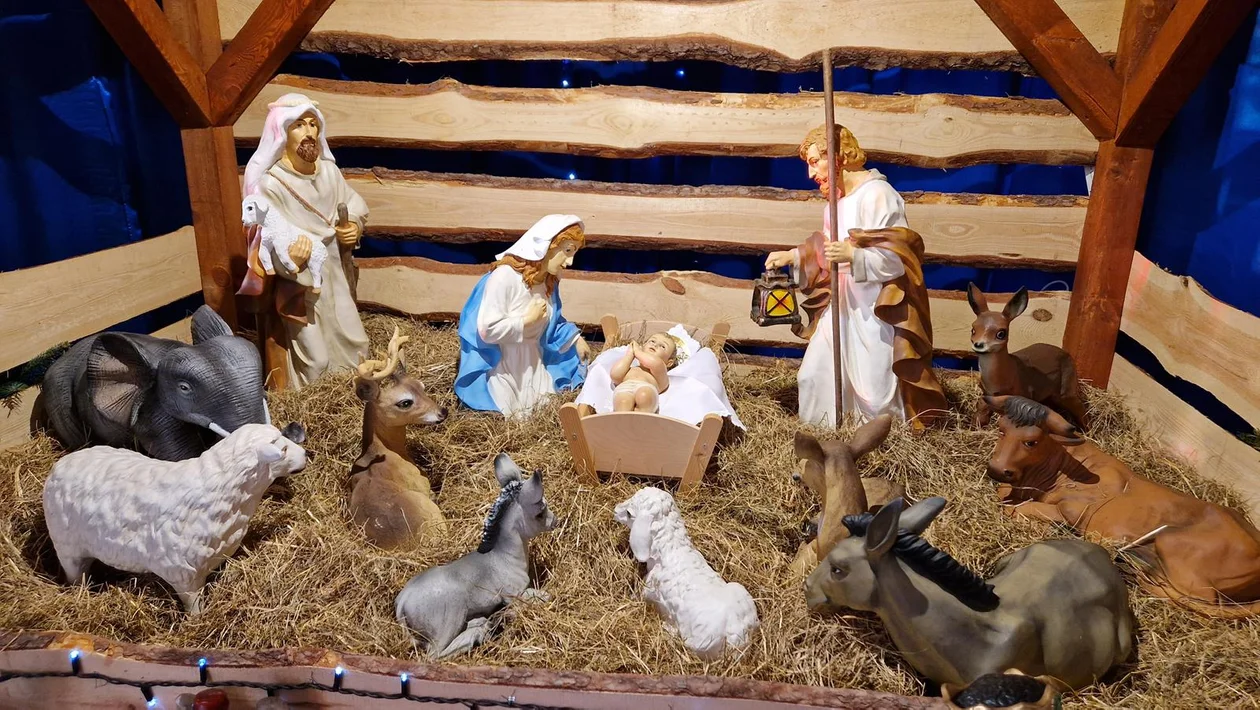 Żłóbki w płockich kościołach w 2025 roku [ZDJĘCIA]