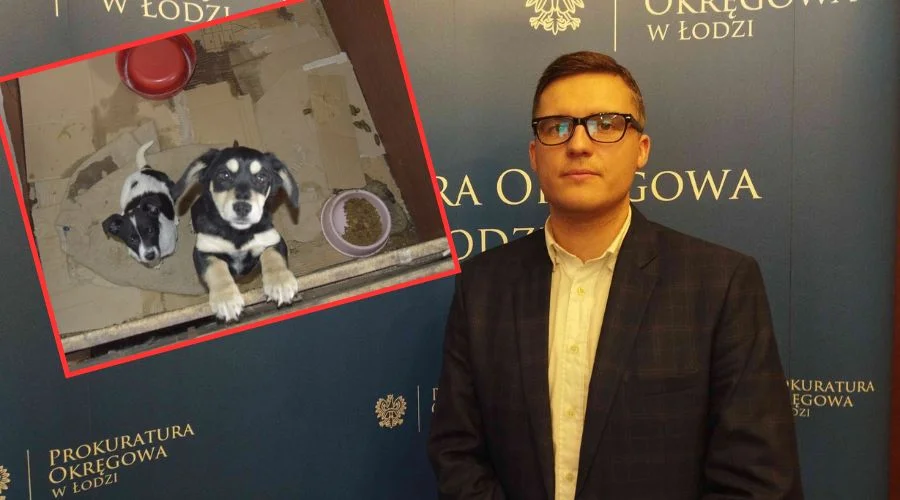 Dla tych zwierząt to było piekło. Ustalenia prokuratury są szokujące