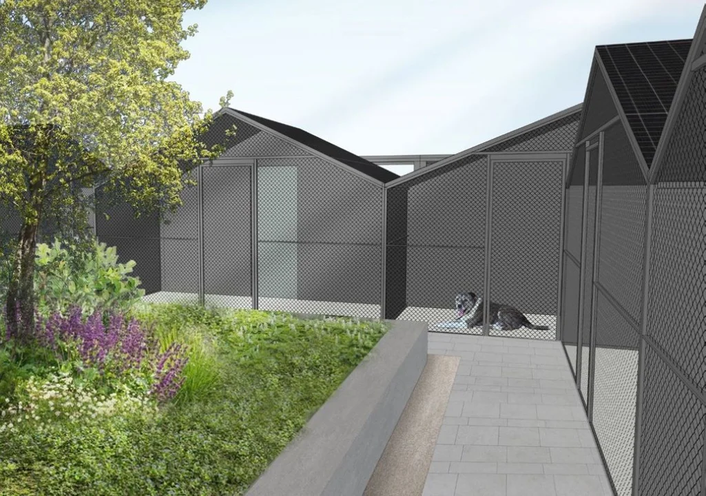 Koniec hałasu i stresu? Miasto szykuje rewolucję w łódzkim schronisku