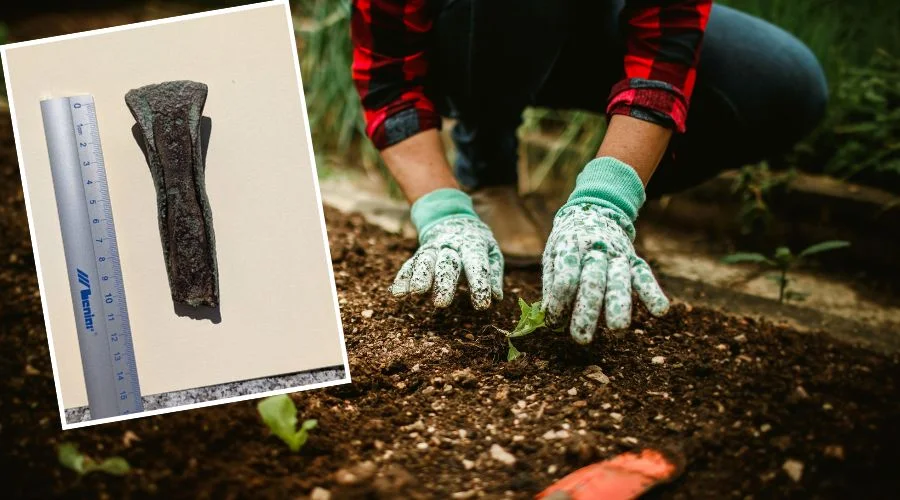 Znalazł w swoim ogrodzie przedmiot sprzed wieków. Dostał zaskakującą nagrodę