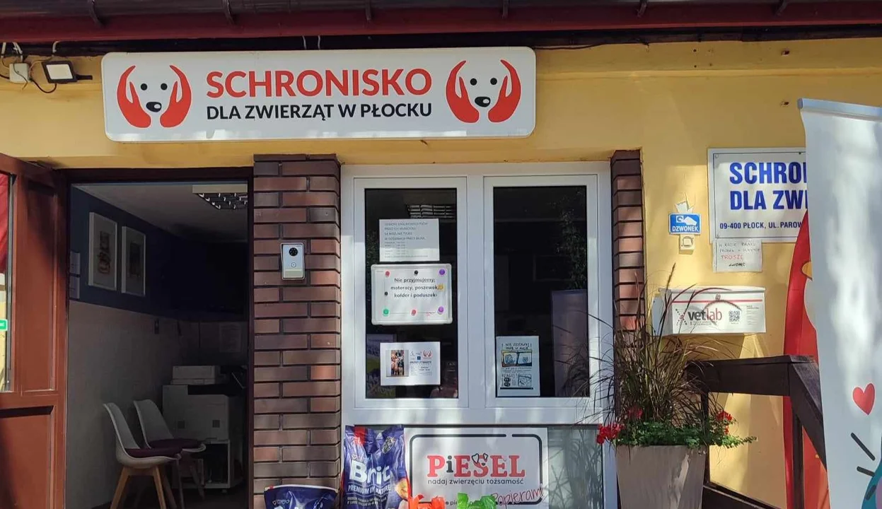 Burza wokół płockiego schroniska. Sprawdzamy, jak wygląda w środku [ZDJĘCIA]